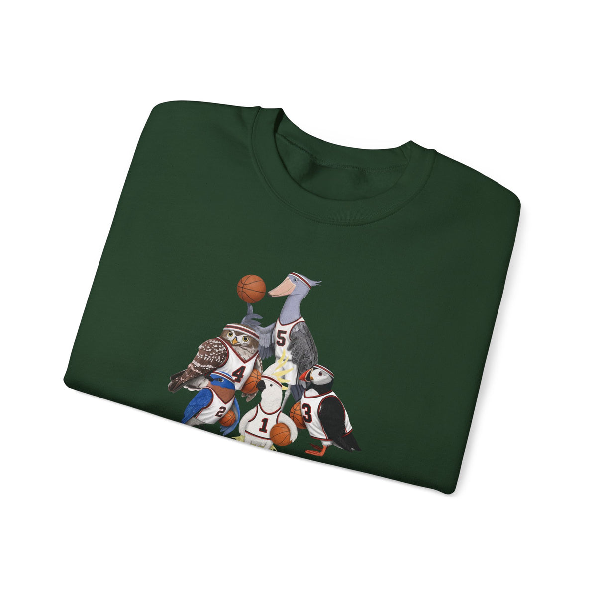 Funny Basketball Bird Sweatshirt | Bird Watcher Crewneck | Unisex Unique Hoops Fan Gift