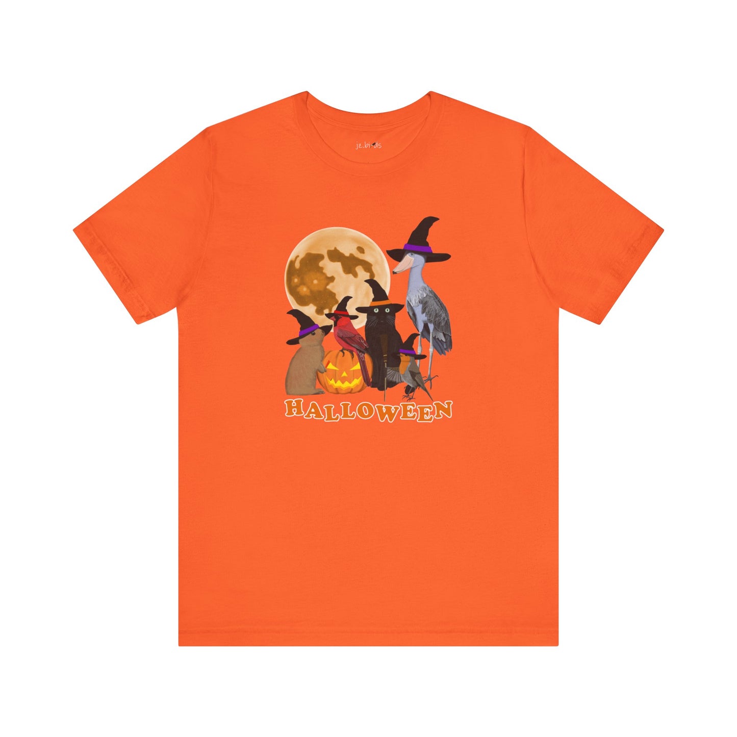Cardinal, Shoebill and Robin T-Shirt in Asphalt