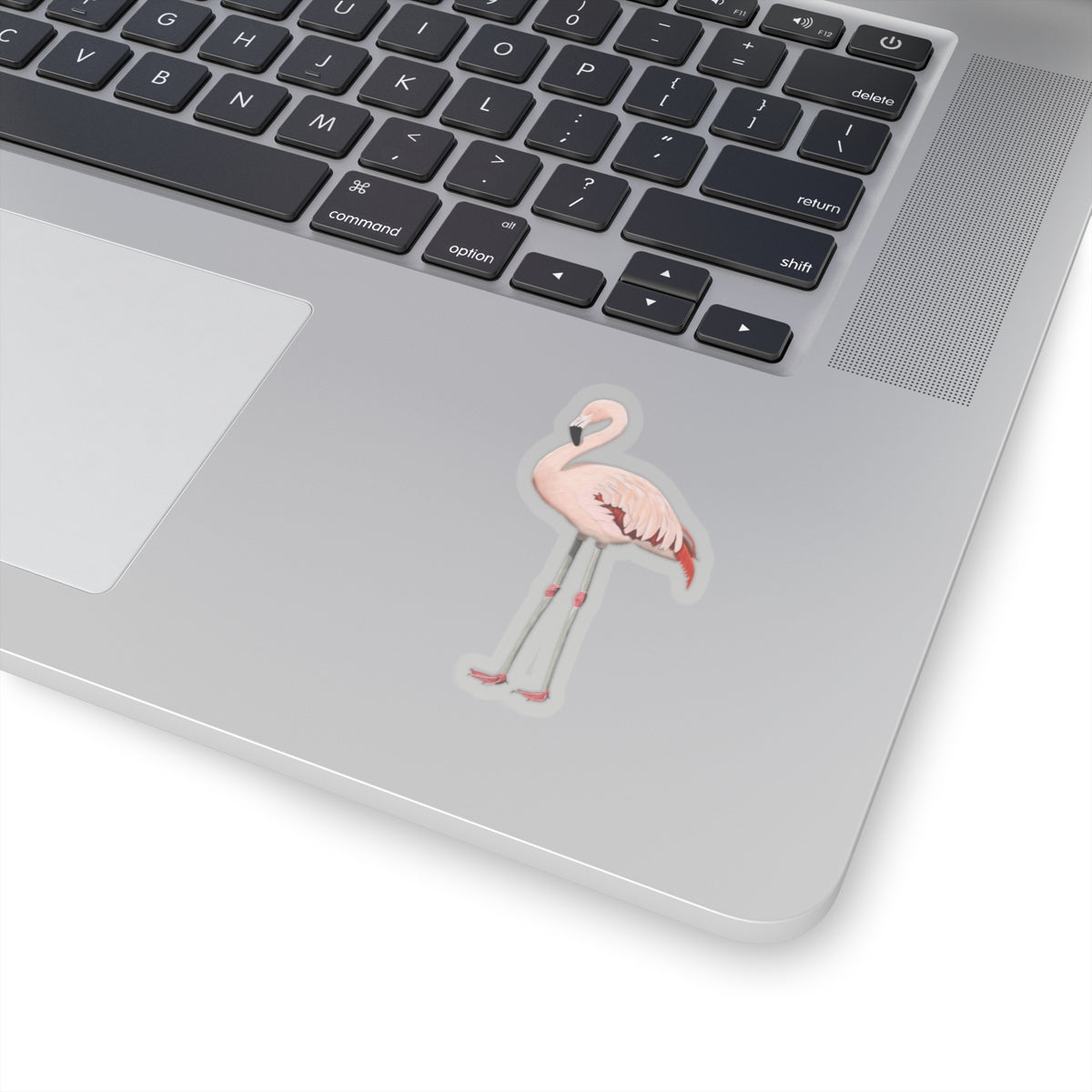 Flamingo Bird Kiss-Cut Sticker - jz.birds