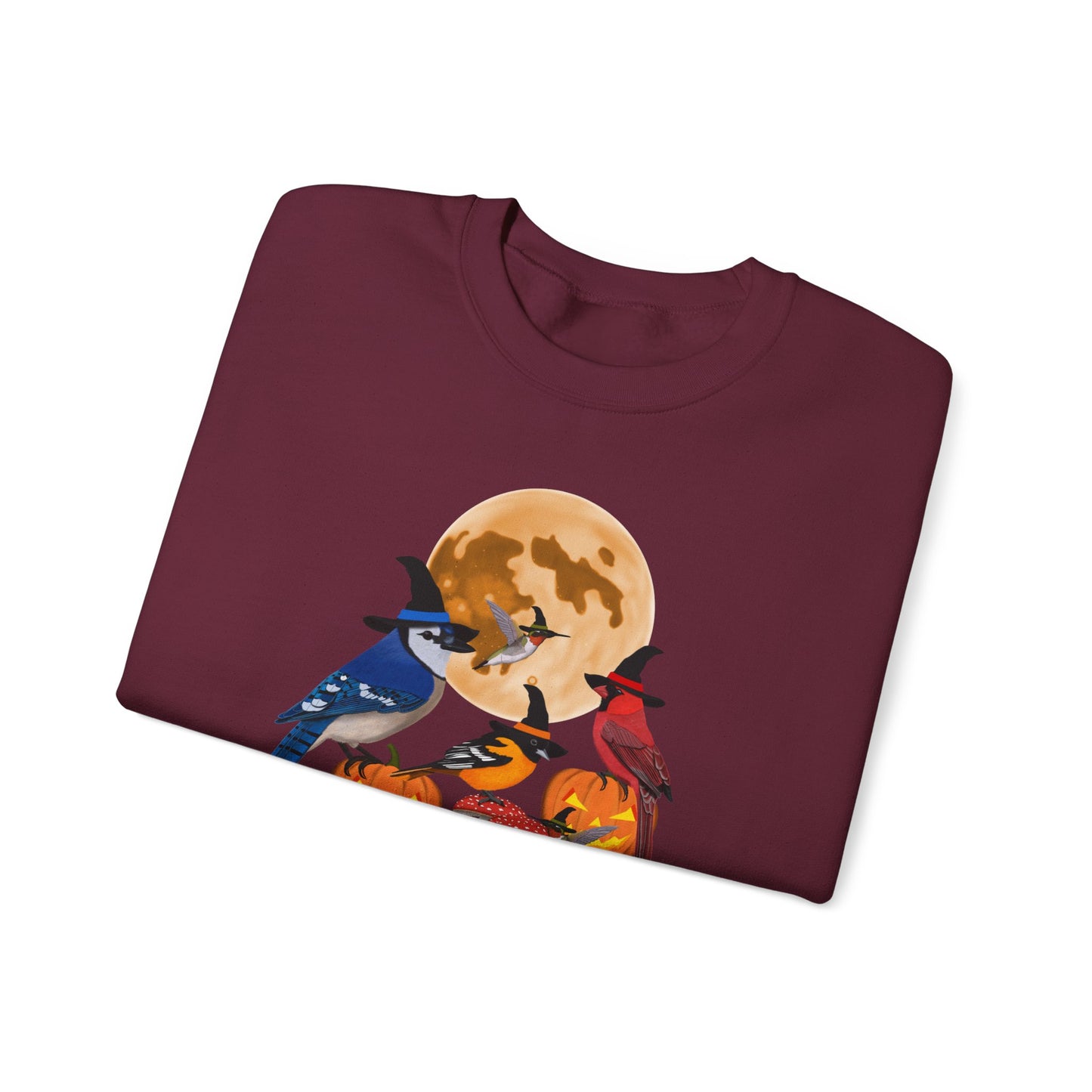 Blue Jay Cardinal Oriole Hummingbird Halloween Birds Witch Birdwatcher Sweatshirt