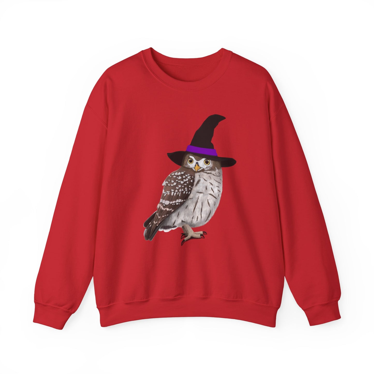 Owl Sweatshirt in Ash