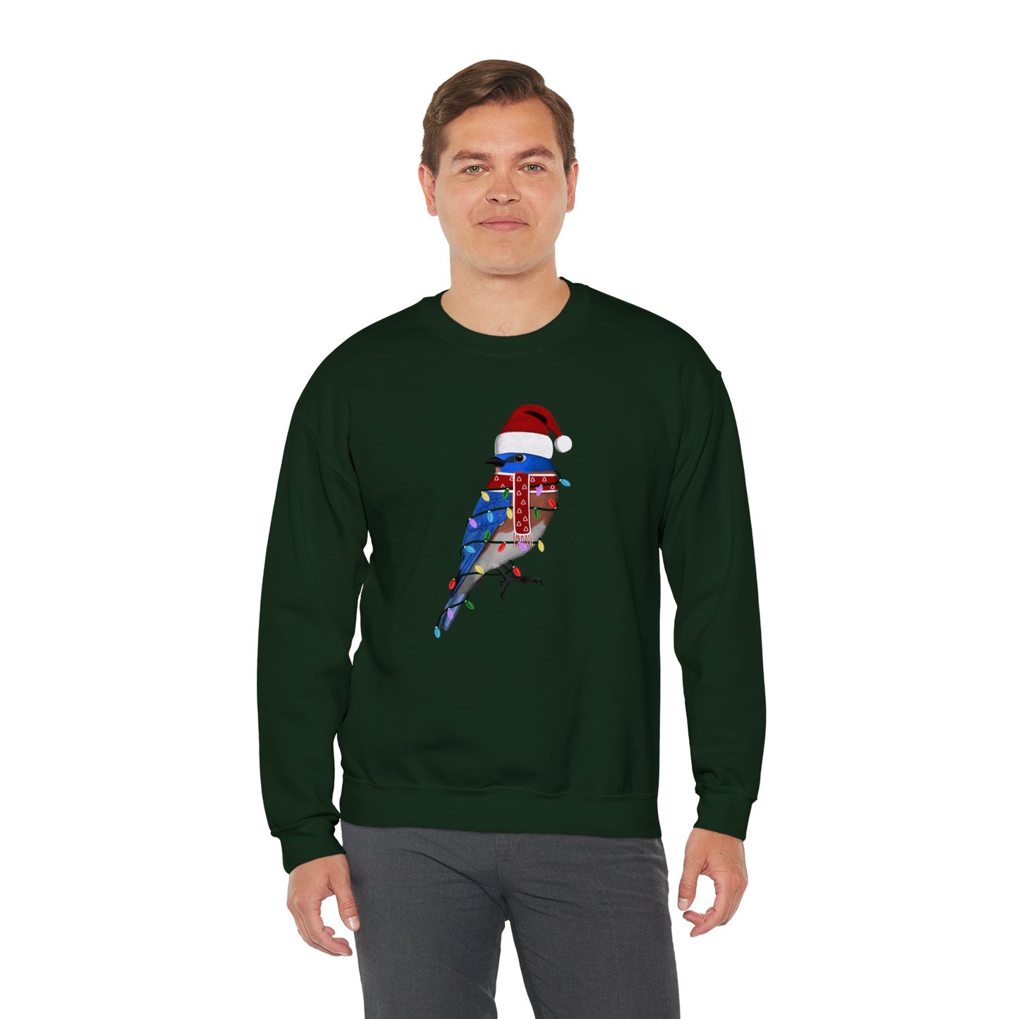 Bluebird with Fairy Lights Santa Claus Christmas Bird Sweatshirt