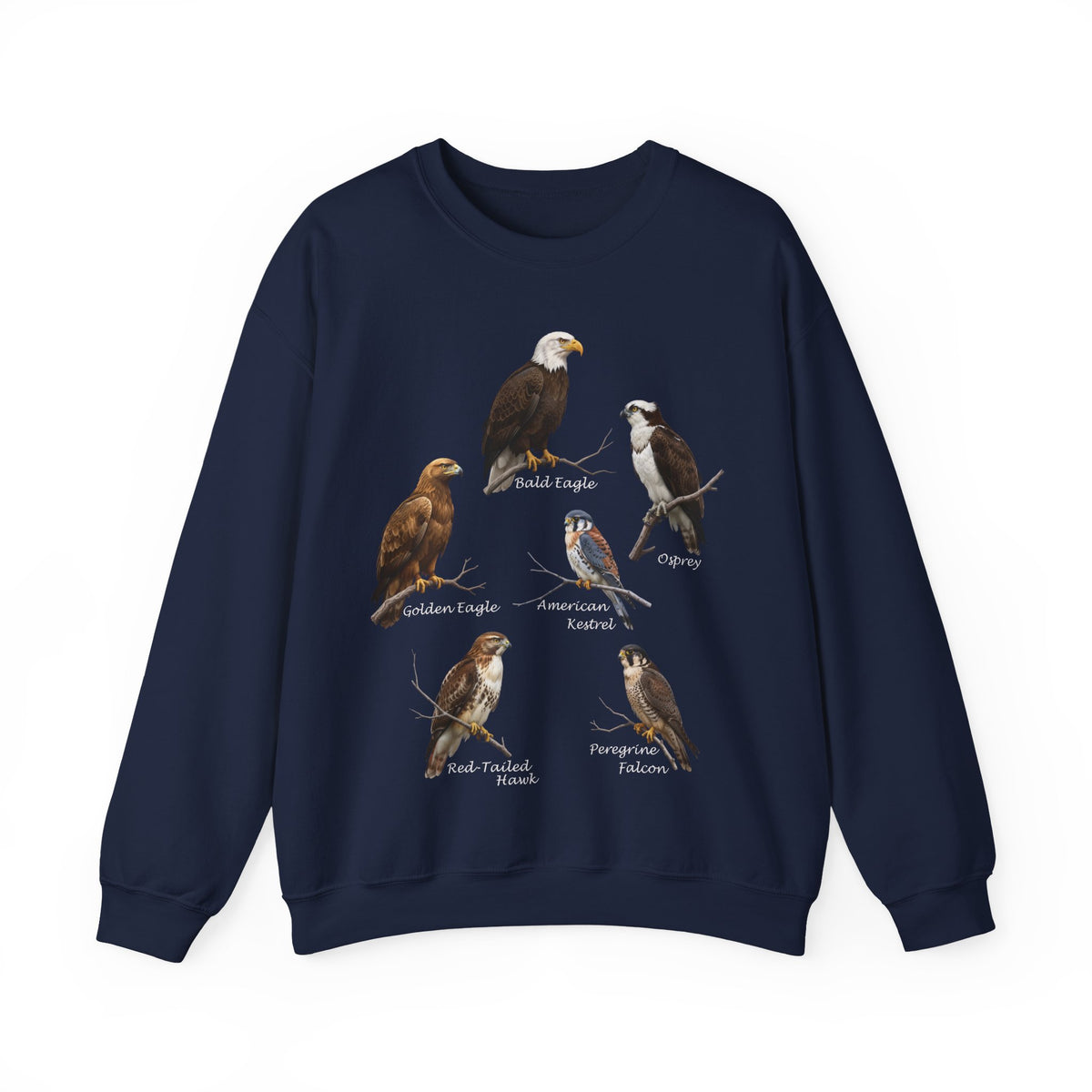 Falcon, Eagle and Hawk Sweatshirt – Animal Lover Gift, Avian Enthusiast