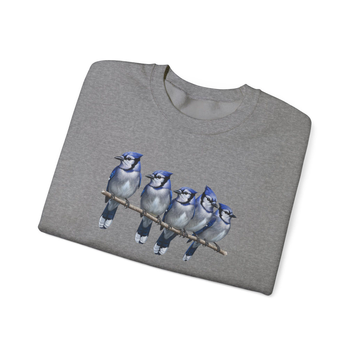 Blue Jays Sweatshirt | Bird Watcher Crewneck | Unisex Songbird Gift for Bird Lovers