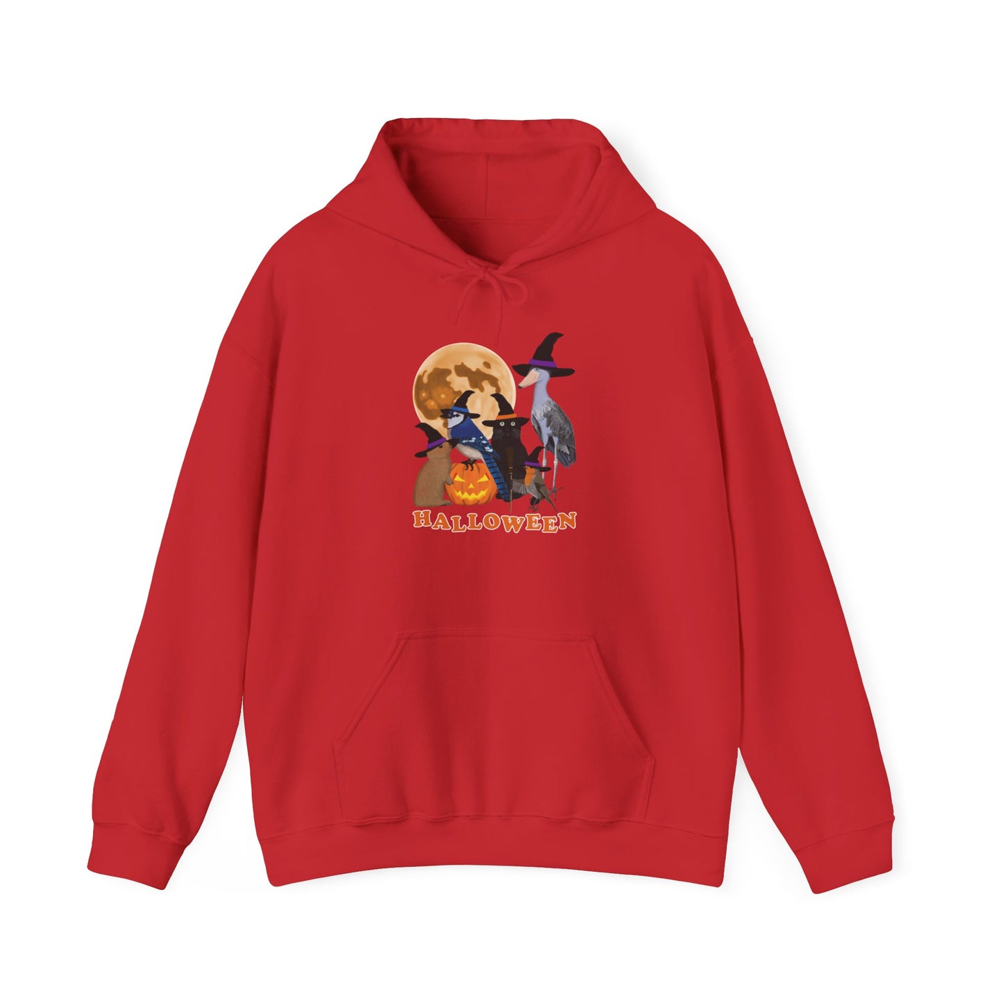 Blue Jay, Shoebill and Robin Hoodie – bird DTG