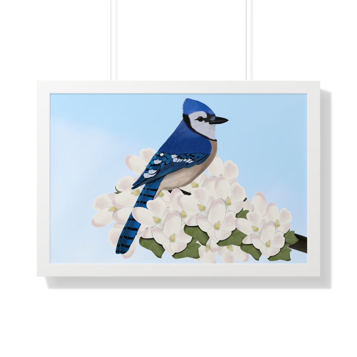 Blue Jay Spring Blossoms Bird Framed Poster