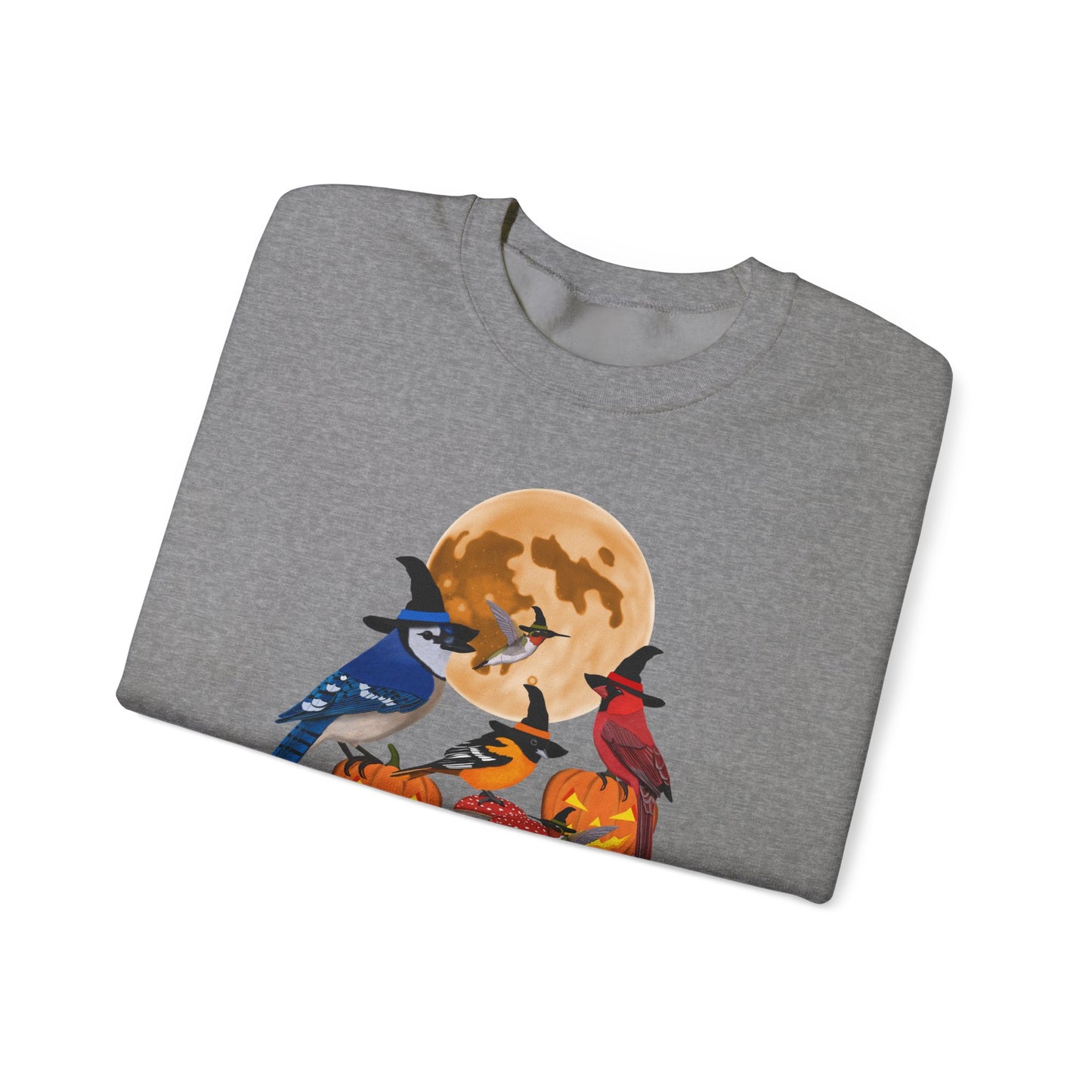 Blue Jay Cardinal Oriole Hummingbird Halloween Birds Witch Birdwatcher Sweatshirt