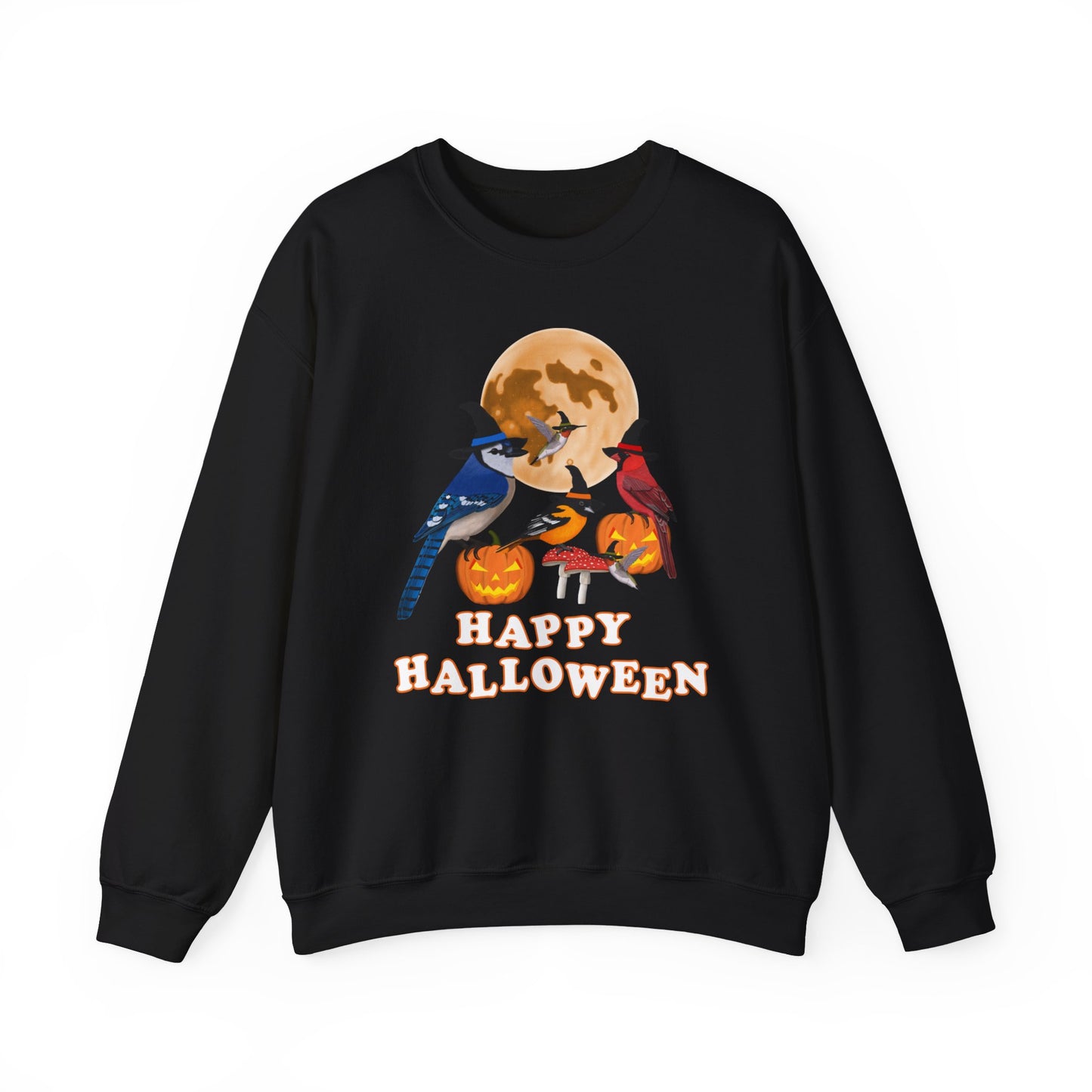Blue Jay Cardinal Oriole Hummingbird Halloween Birds Witch Birdwatcher Sweatshirt