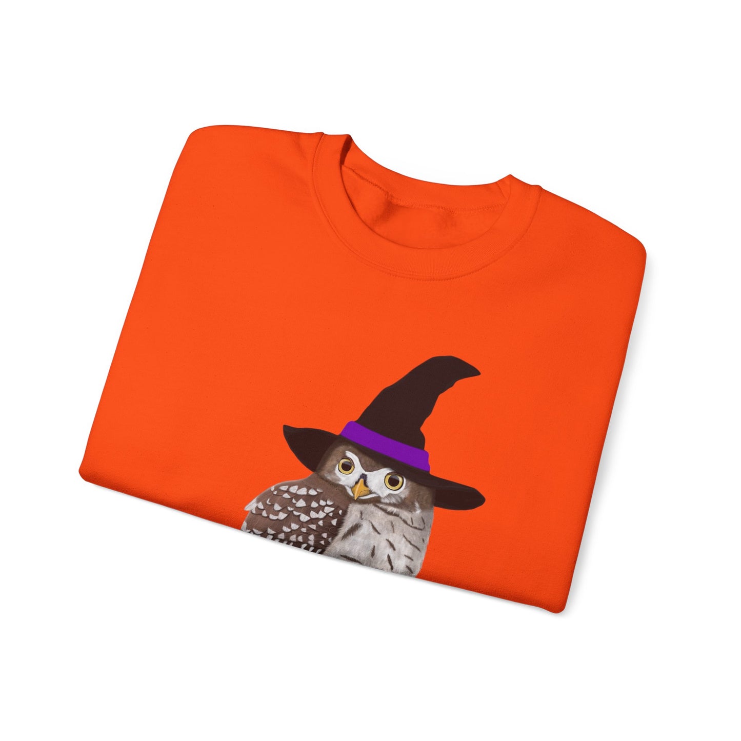Owl Halloween Witch Birdwatcher Biologist Bird Sweatshirt