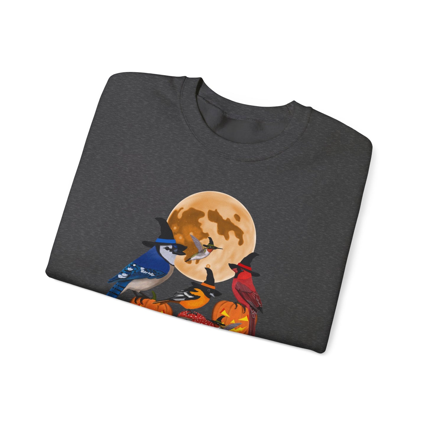 Blue Jay Cardinal Oriole Hummingbird Halloween Birds Witch Birdwatcher Sweatshirt