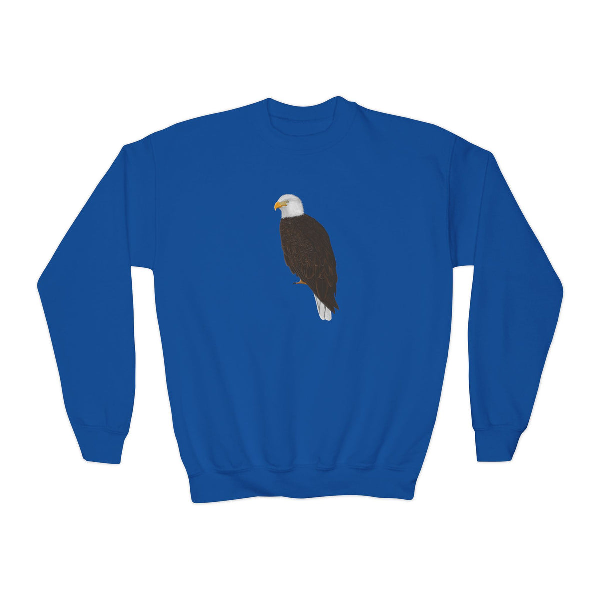 Eagle Youth Sweatshirts in Maroon