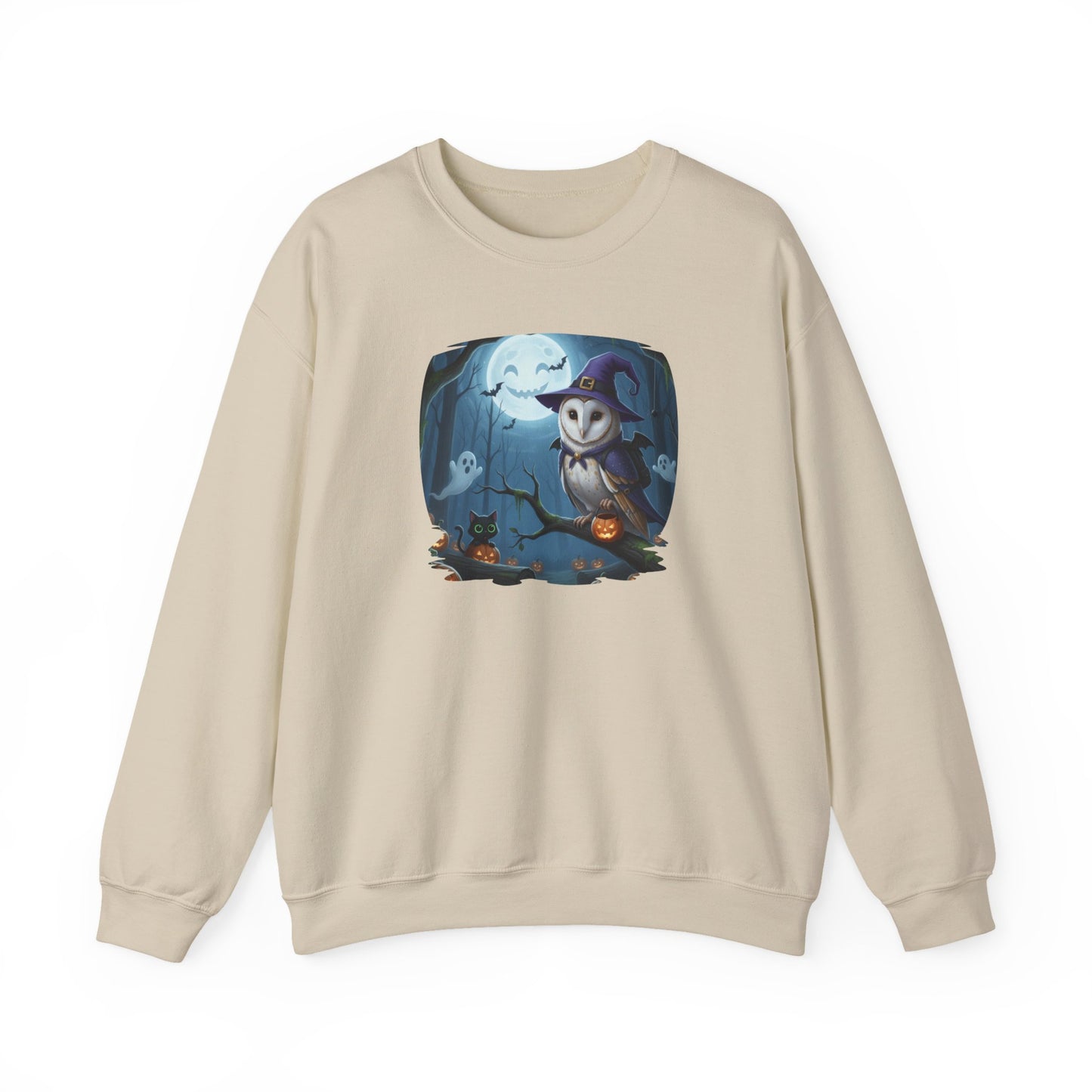 Barn Owl Halloween Bird Sweatshirt - Spooky Halloween Costume for Bird Lovers