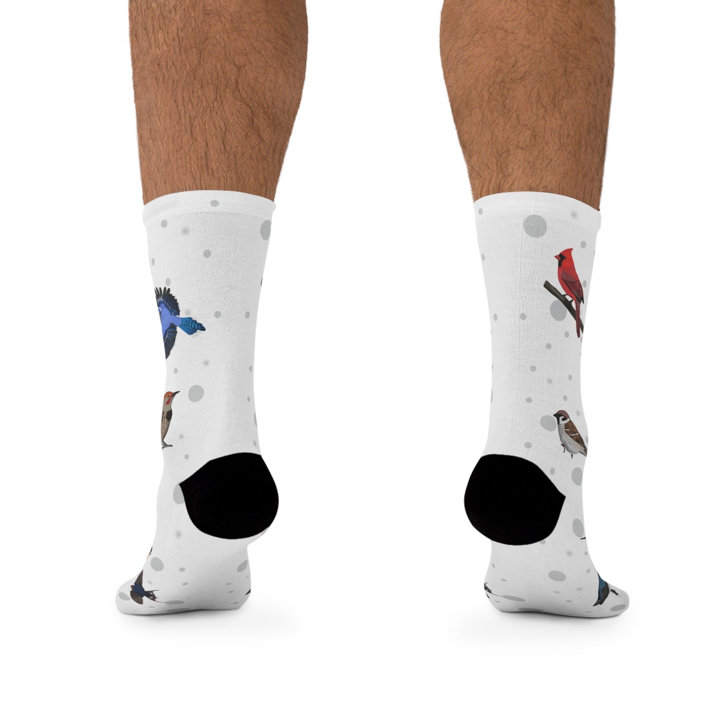 Cardinal Robin Bluebird Bird Socks White for Bird Lovers One Size