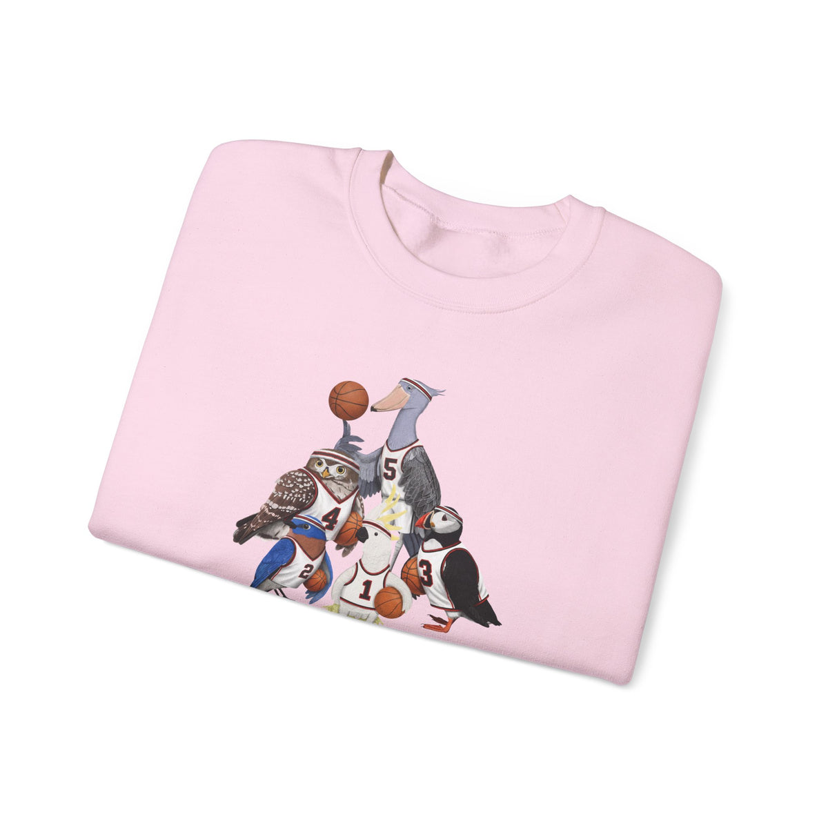 Funny Basketball Bird Sweatshirt | Bird Watcher Crewneck | Unisex Unique Hoops Fan Gift