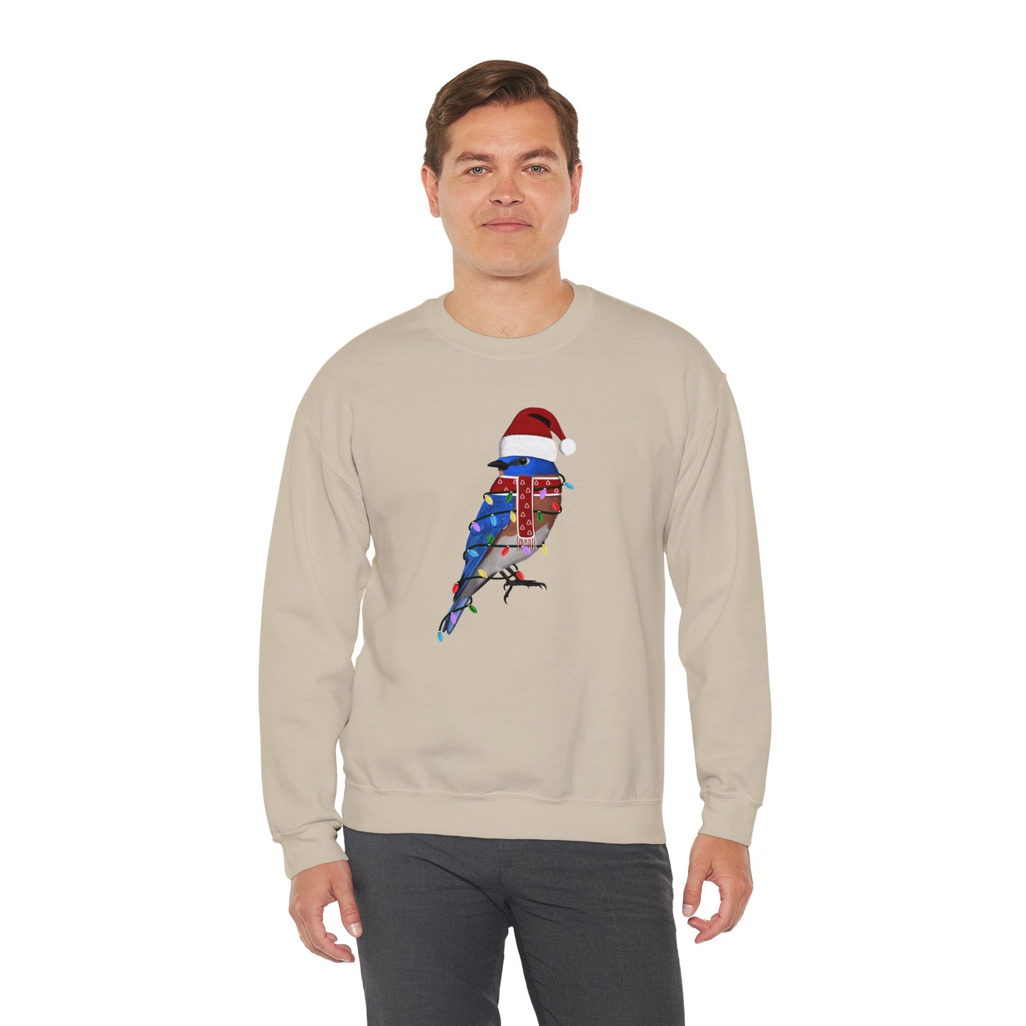 Bluebird with Fairy Lights Santa Claus Christmas Bird Sweatshirt