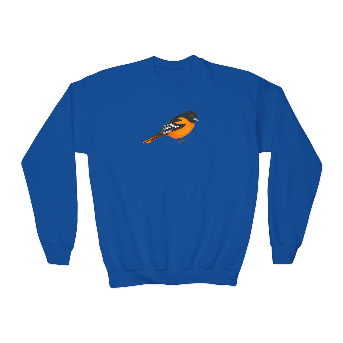Baltimore Oriole Youth Sweatshirts – Casual Kids Clothing, Cool Weather Outfit