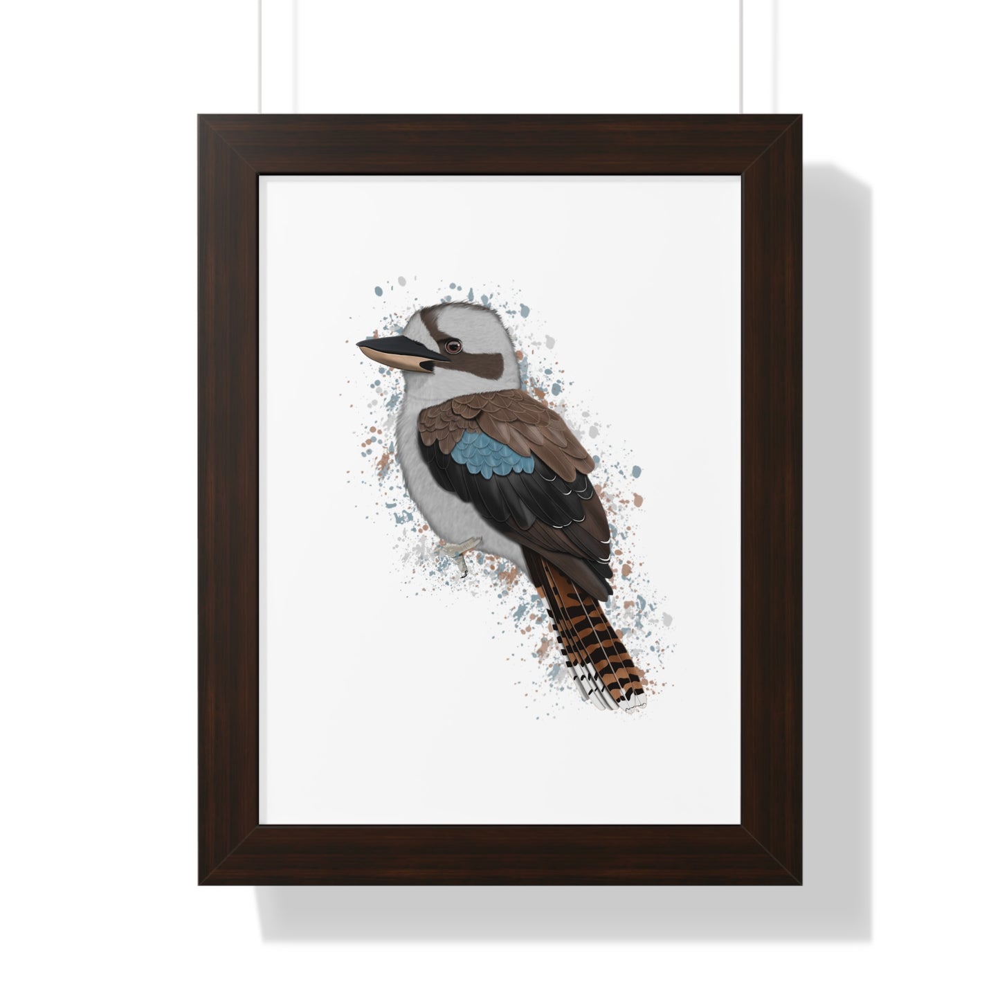 Kookaburra Bird Framed Poster – Home & Living