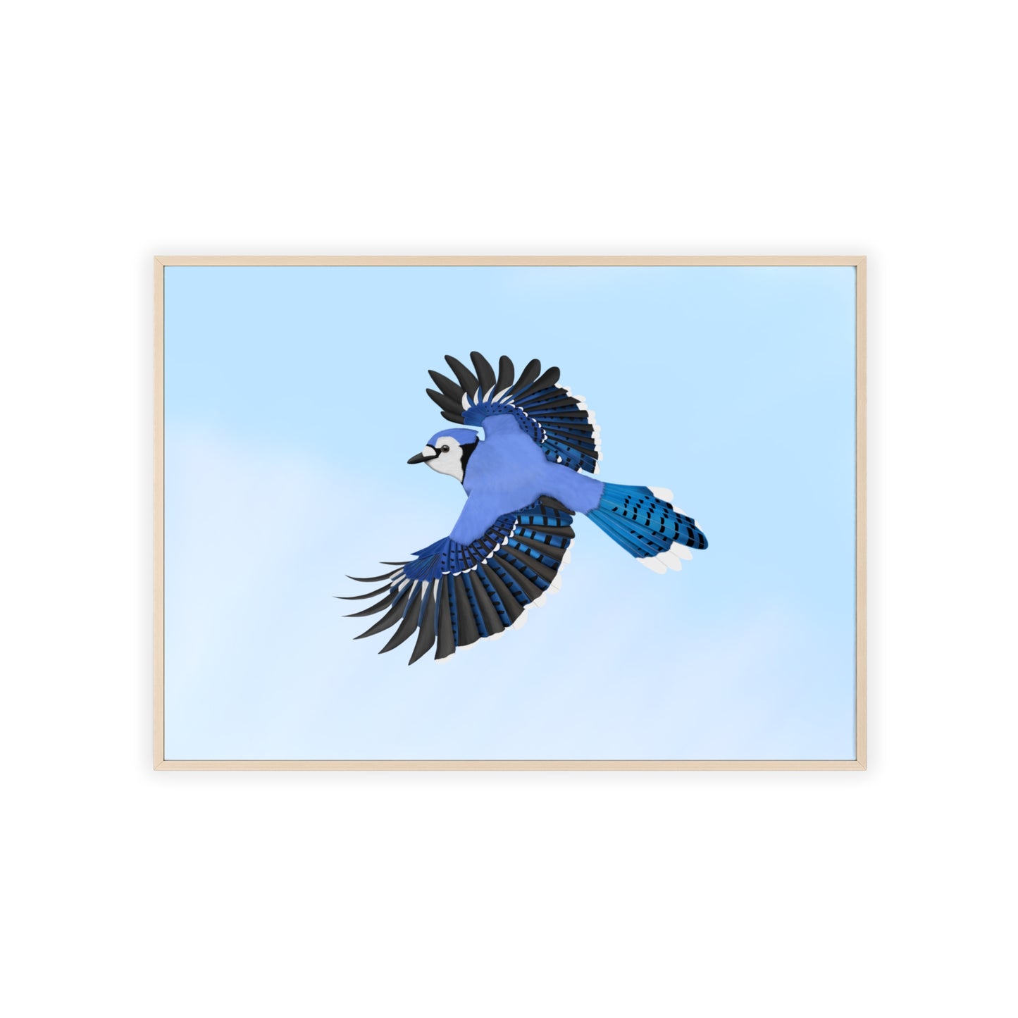 Vogel Poster im Holzrahmen - Blue Jay Poster Gartenvogel Singvogel