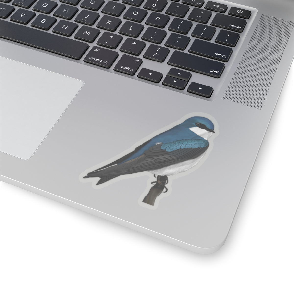 Tree Swallow Bird Kiss-Cut Sticker - jz.birds
