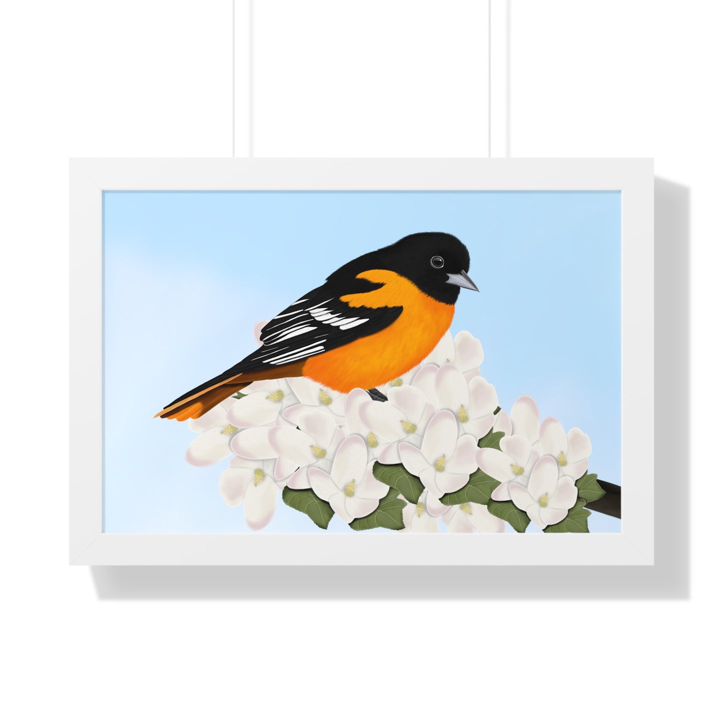 Baltimore Oriole Spring Blossoms Bird Framed Poster