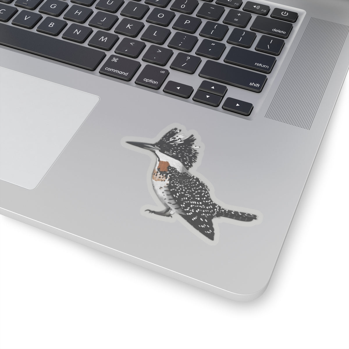Crested Kingfisher Bird Kiss-Cut Sticker - jz.birds