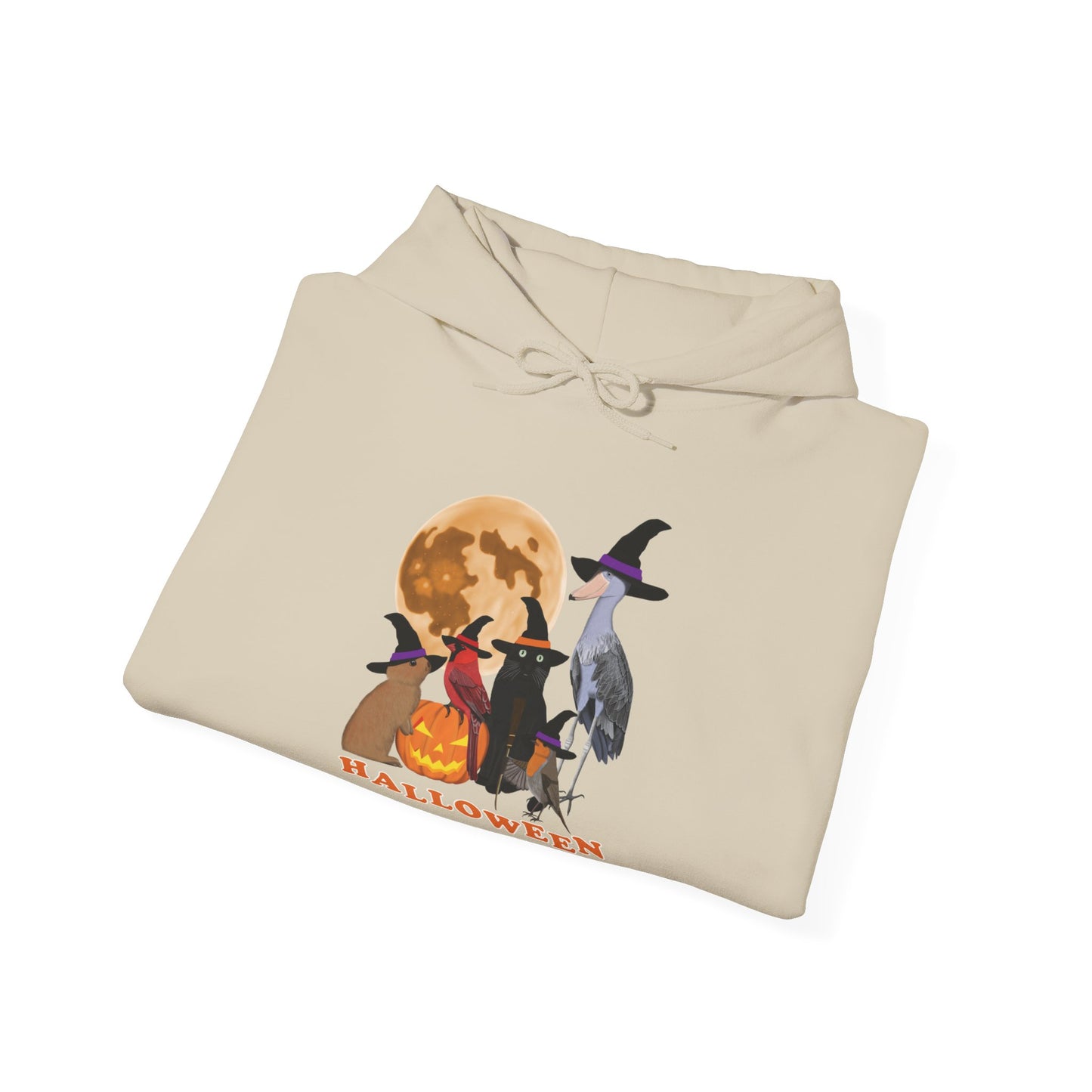 Cardinal Robin Shoebill with Cat and Bunny Halloween Bird Hoodie