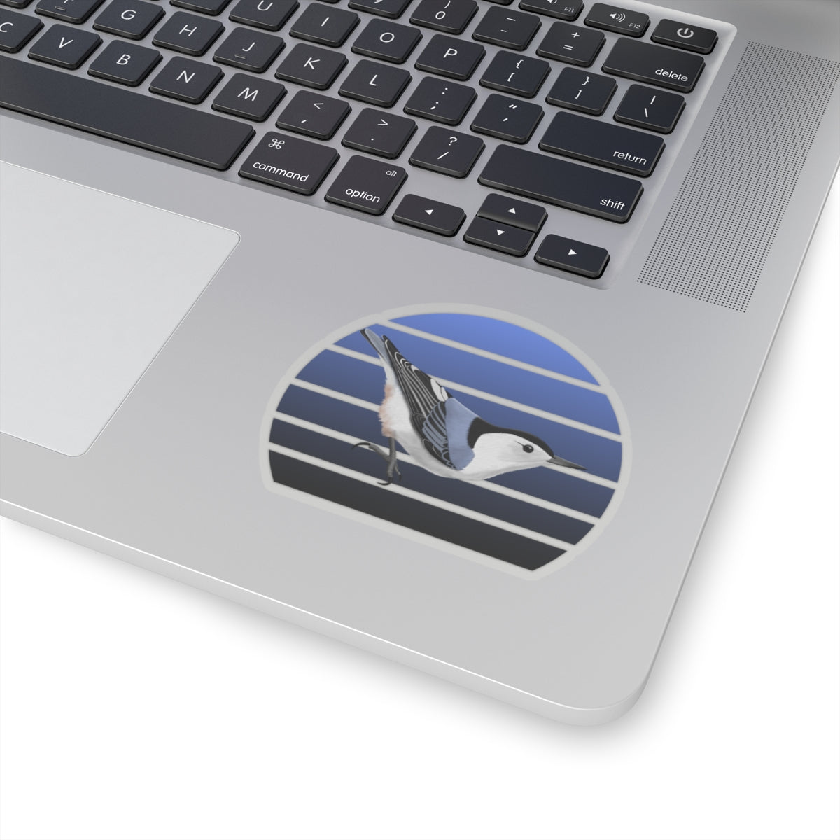 Nuthatch Bird Sticker