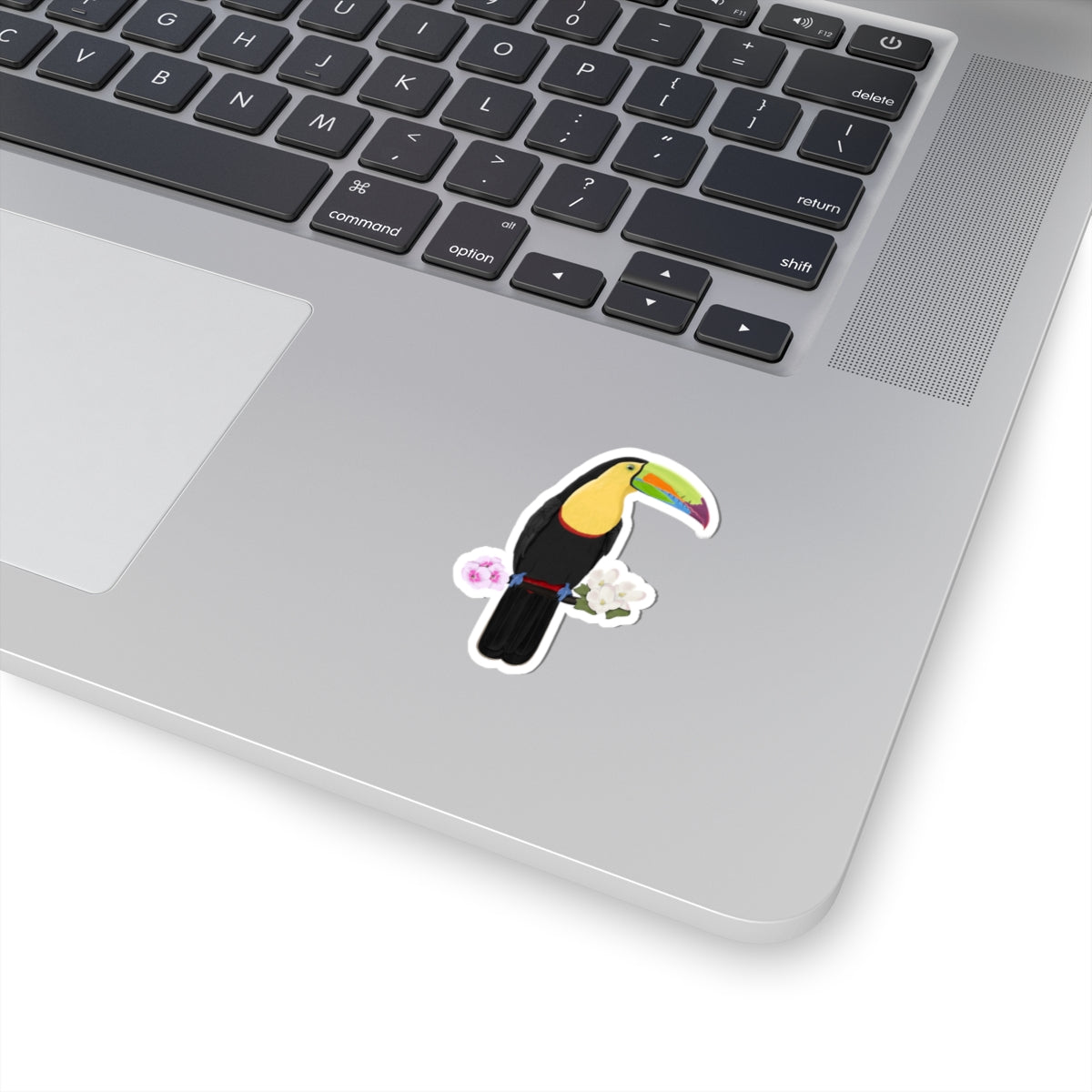 Keel-Billed Toucan Bird Sticker