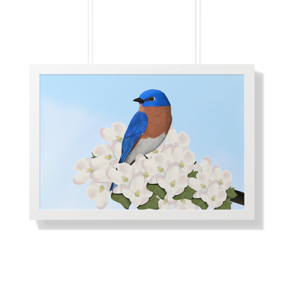 Eastern Bluebird Spring Blossoms Bird Framed Poster