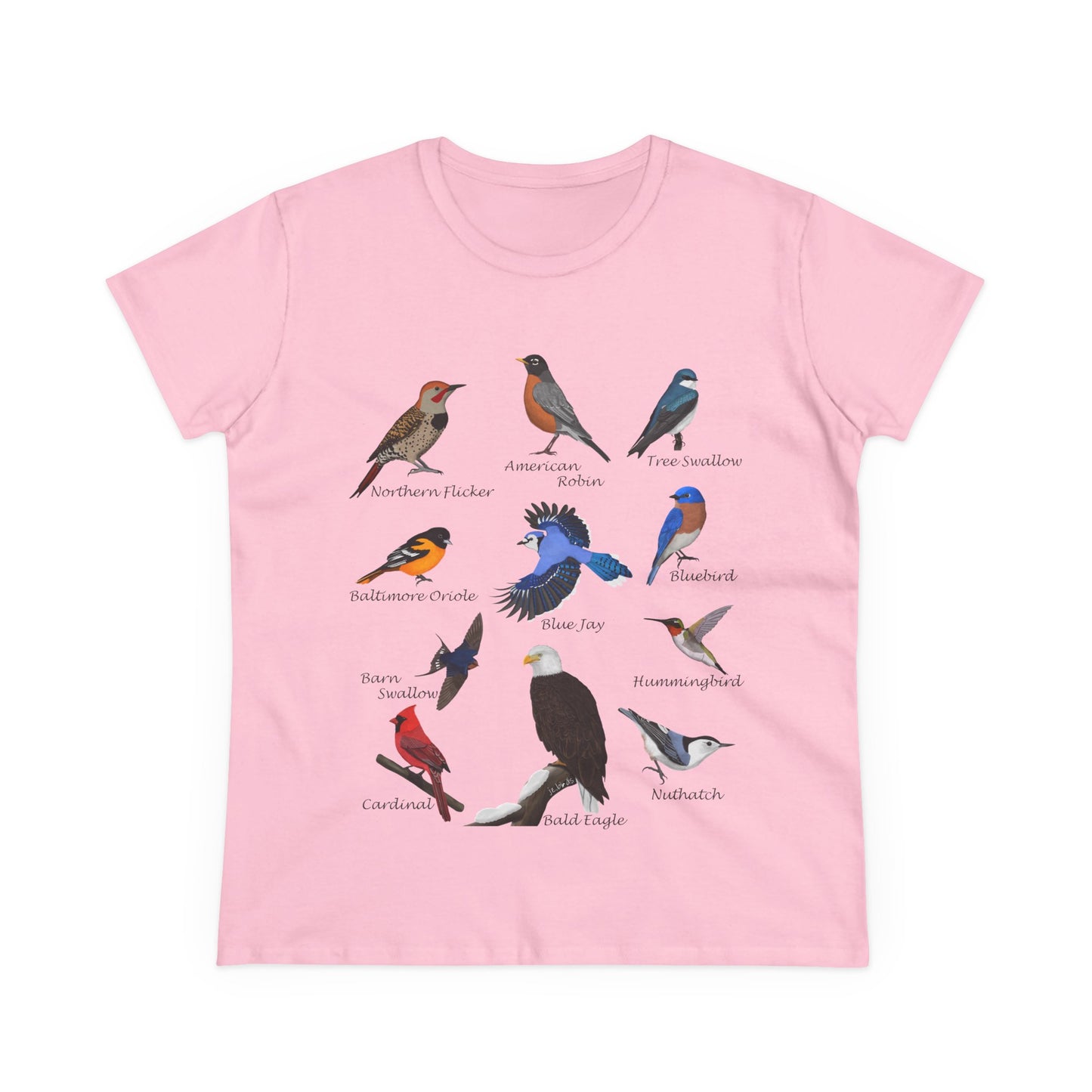 Birds of America Blue Jay Cardinal Bald Eagle Oriole Bird Design for Birdwatchers and Bird Lovers Women's T-Shirt