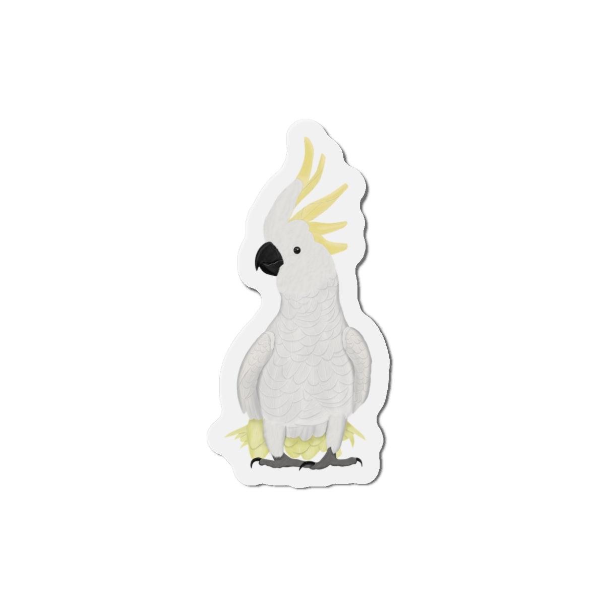 Cockatoo Home Decor – bird magnet and & Living style