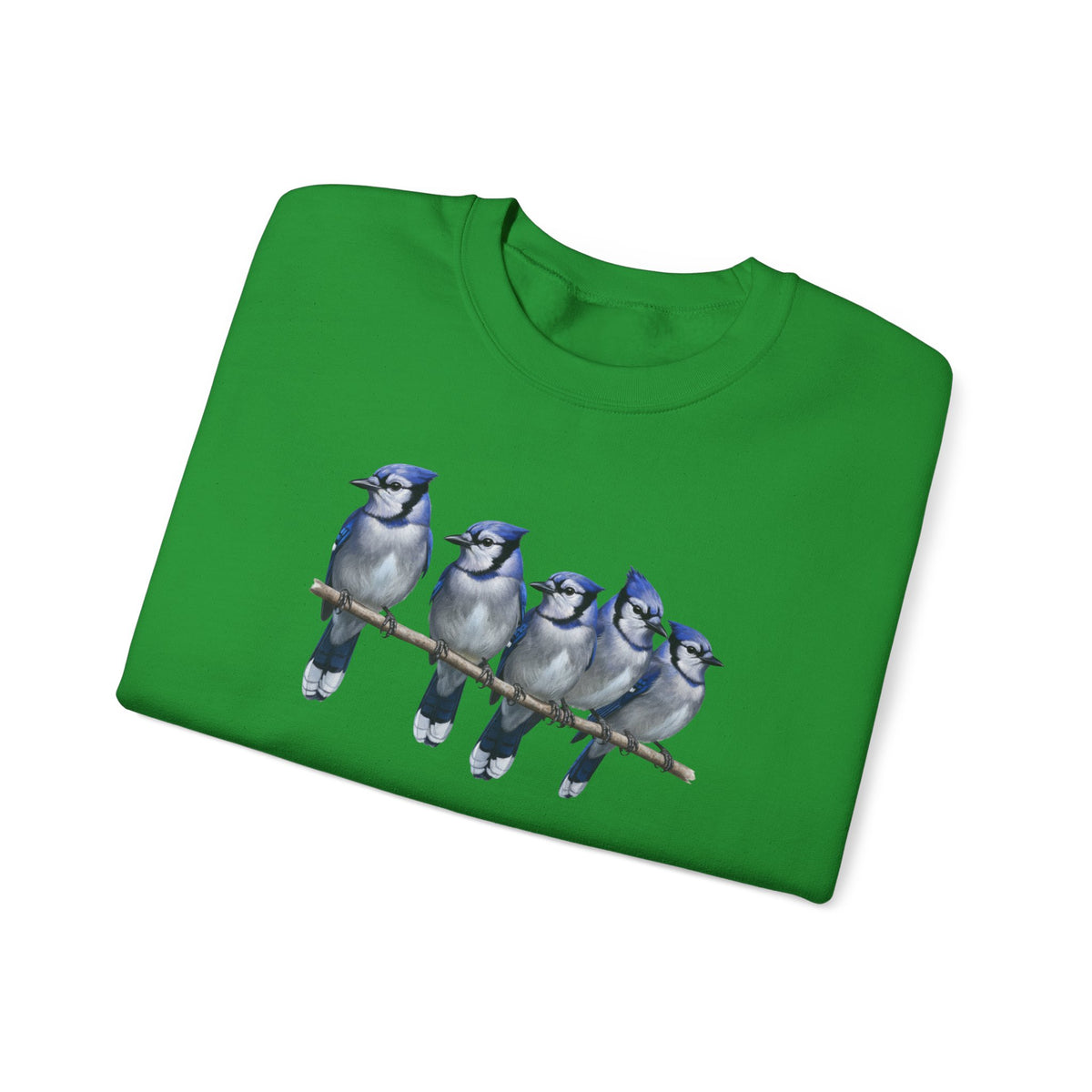 Blue Jays Sweatshirt | Bird Watcher Crewneck | Unisex Songbird Gift for Bird Lovers