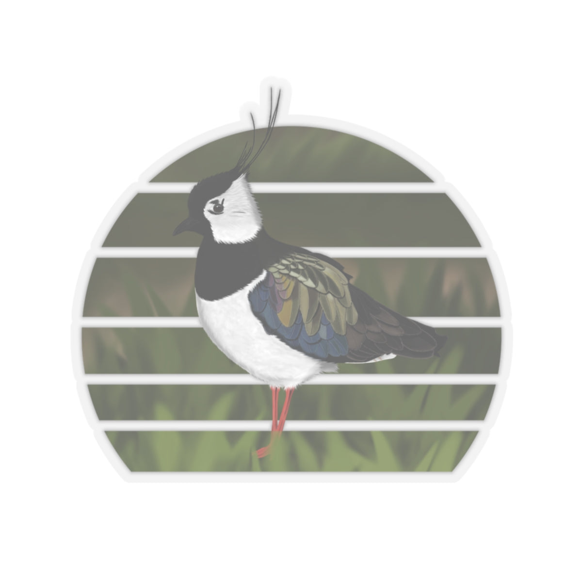 Lapwing Bird Sticker