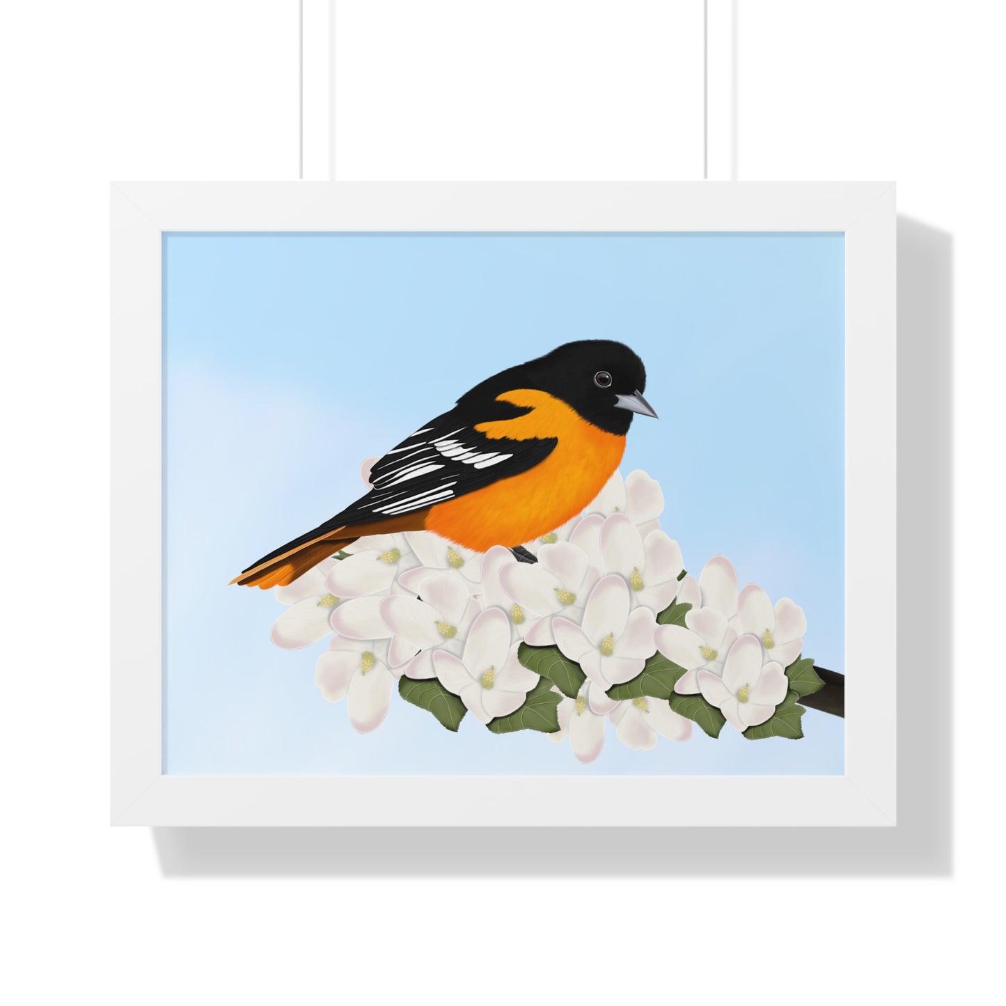 Baltimore Oriole Spring Blossoms Bird Framed Poster