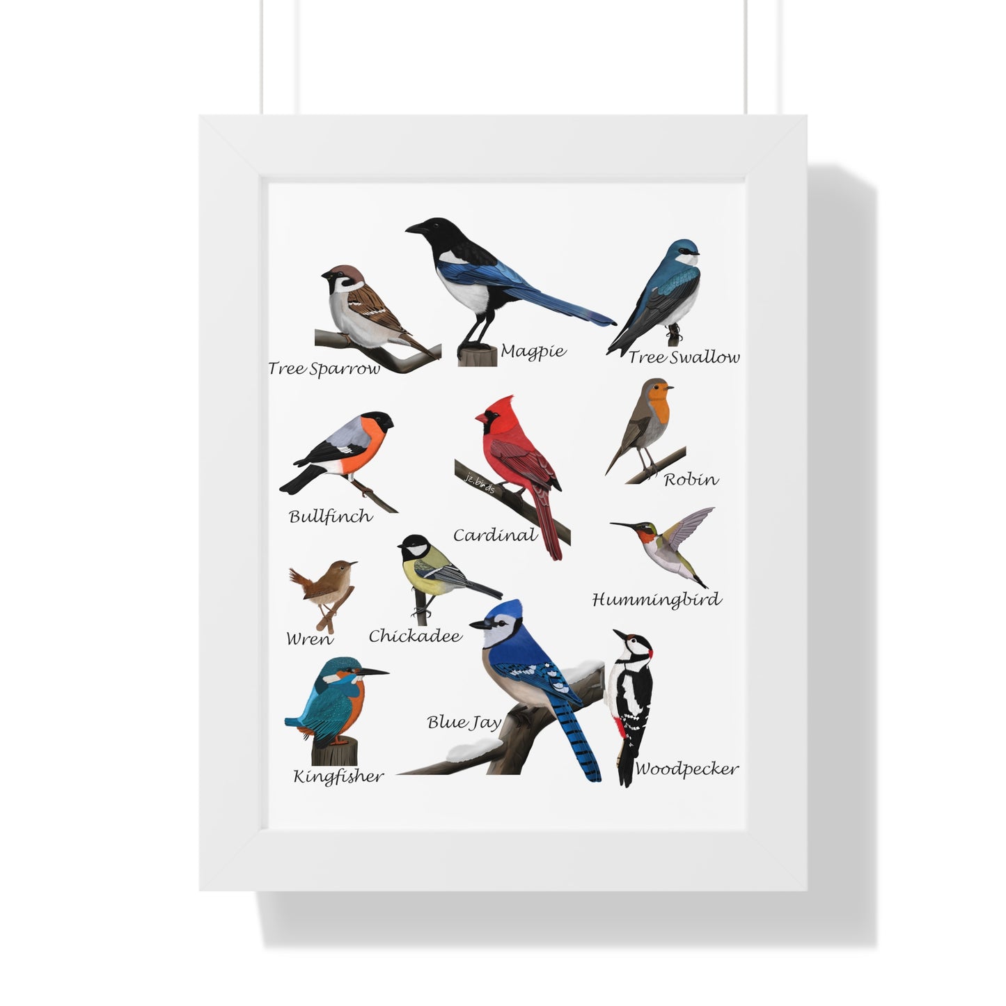 Garden Birds Blue Jay Cardinal Bullfinch Chickadee Framed Poster