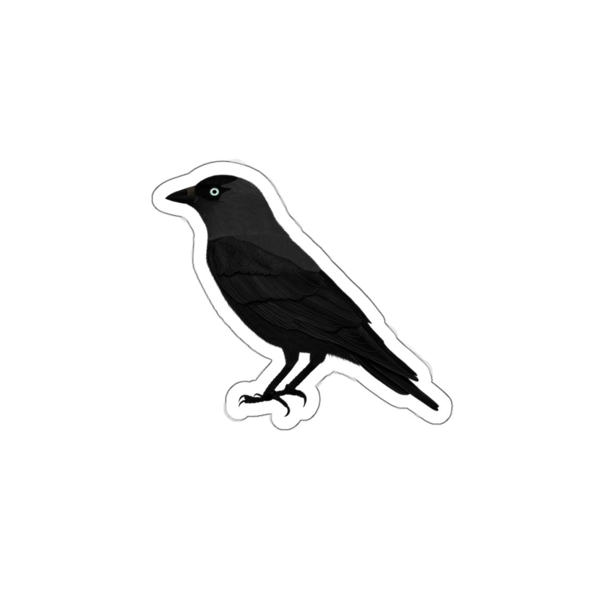 Western Jackdaw Bird Kiss-Cut Sticker