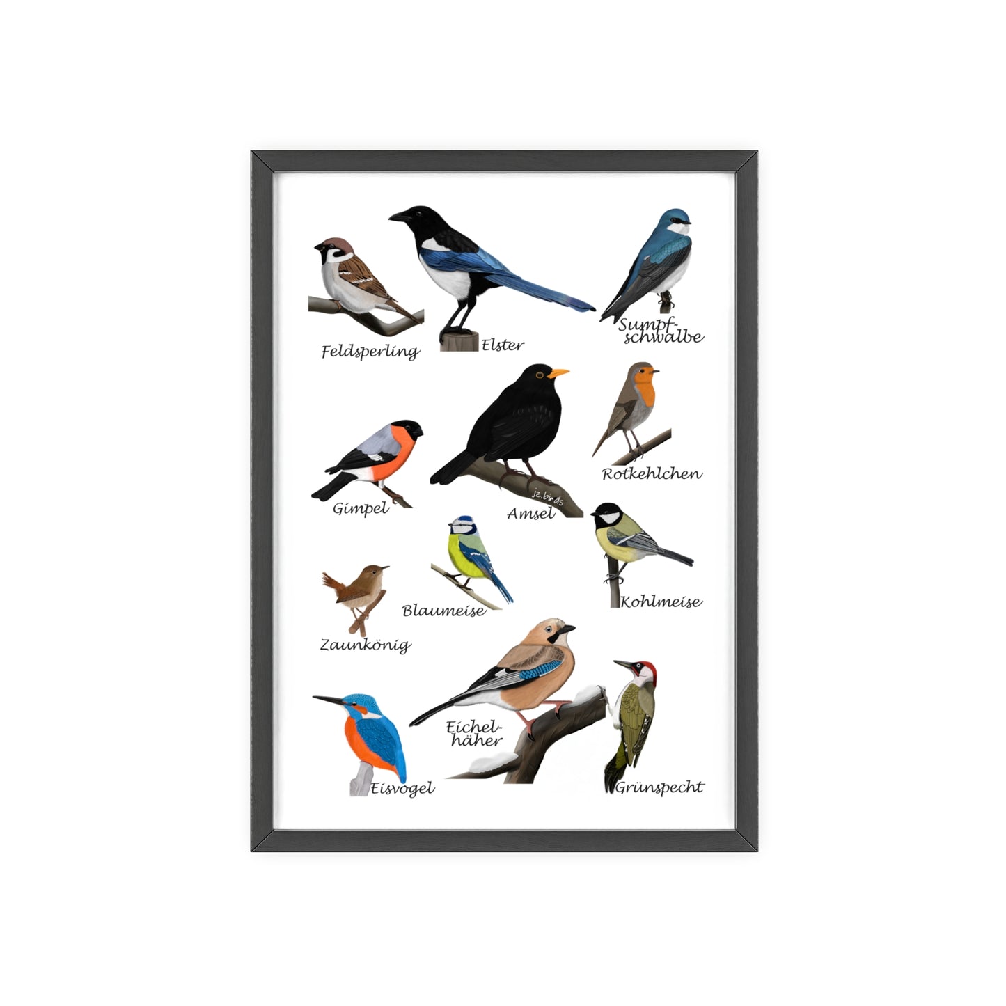 Vogel Poster im Holzrahmen - Gartenvögel Amsel Rotkehlchen Blaumeise