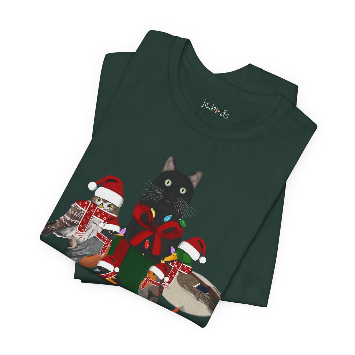 Robin Mallard Oriole Owl with Cat in a Box and Fairy Lights Christmas Bird T-Shirt