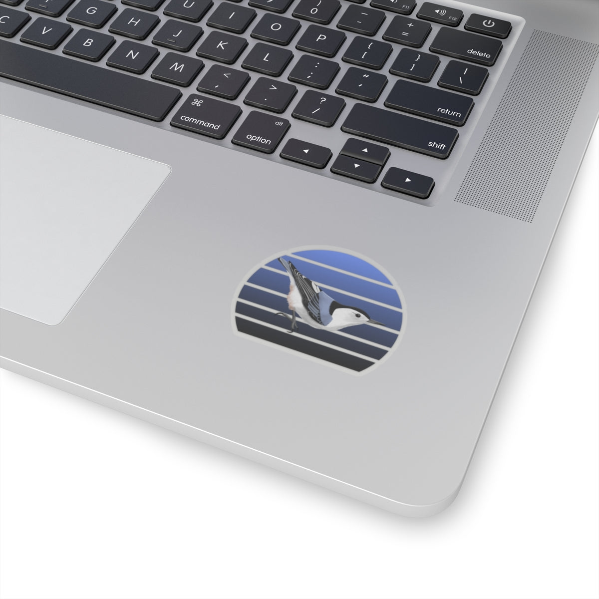Nuthatch Bird Sticker