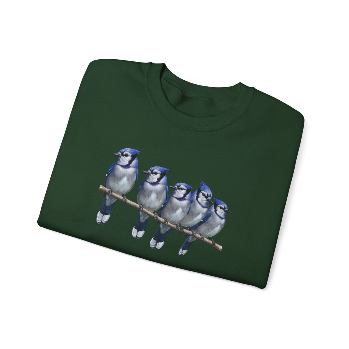 Blue Jays Sweatshirt | Bird Watcher Crewneck | Unisex Songbird Gift for Bird Lovers