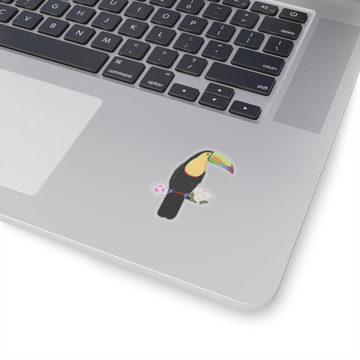 Keel-Billed Toucan Bird Sticker