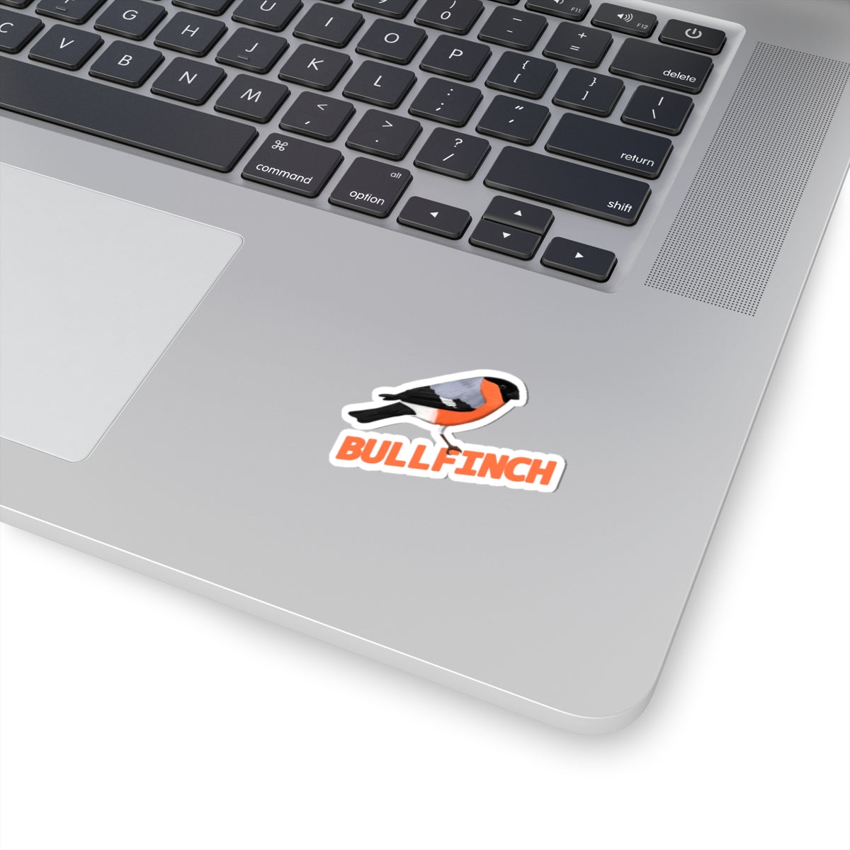 Bullfinch Sticker Bird Lover & Bird Watcher