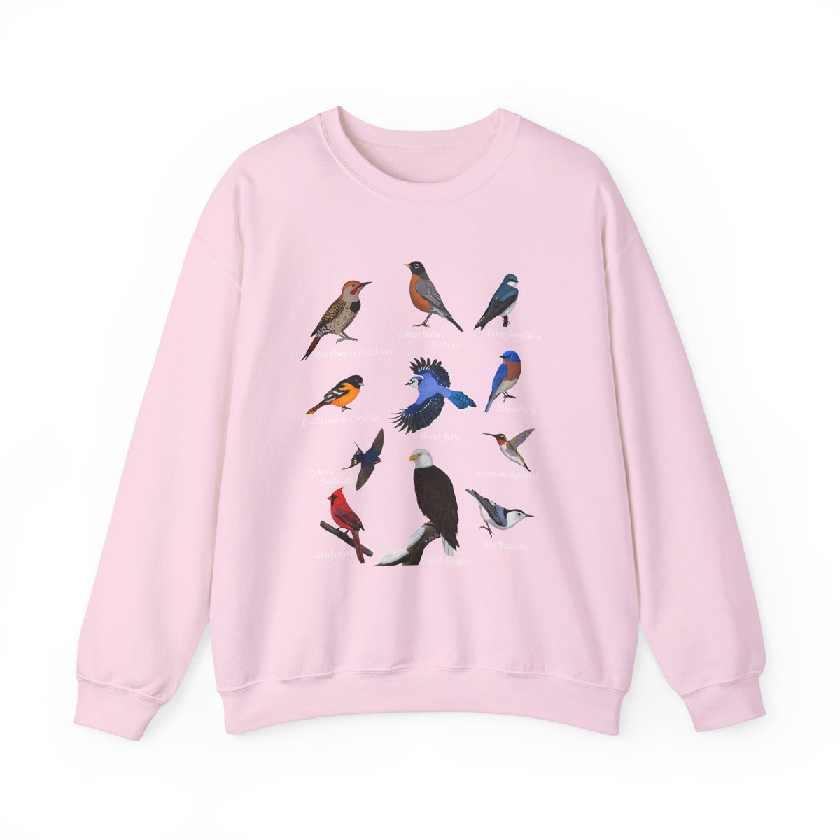 Hummingbird, Blue Jay, Cardinal, Oriole and Robin Bird Sweatshirt in Black