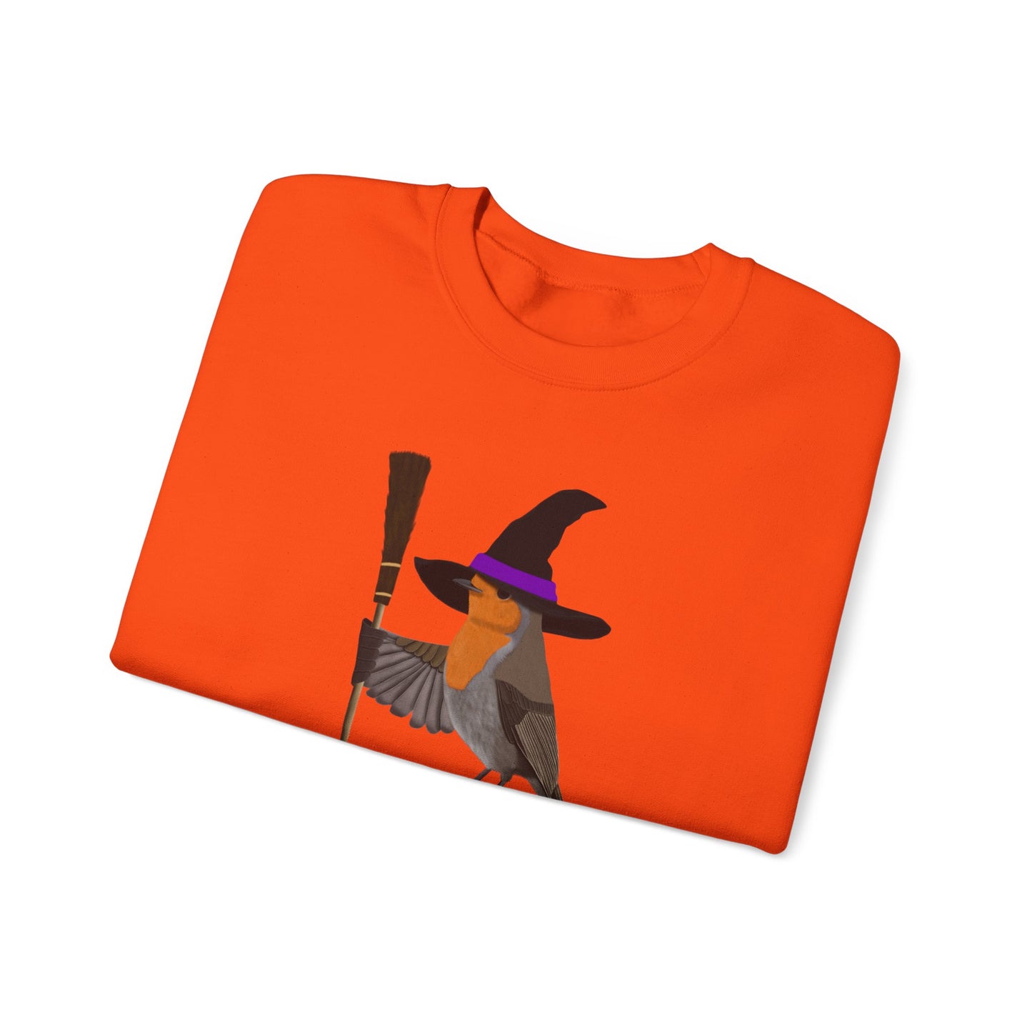 Robin Halloween Witch Birdwatcher Biologist Bird Sweatshirt