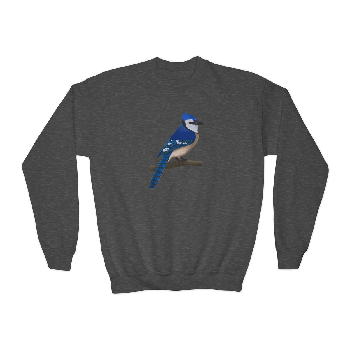Blue Jay Youth Sweatshirts on Casual Kids Clothing background