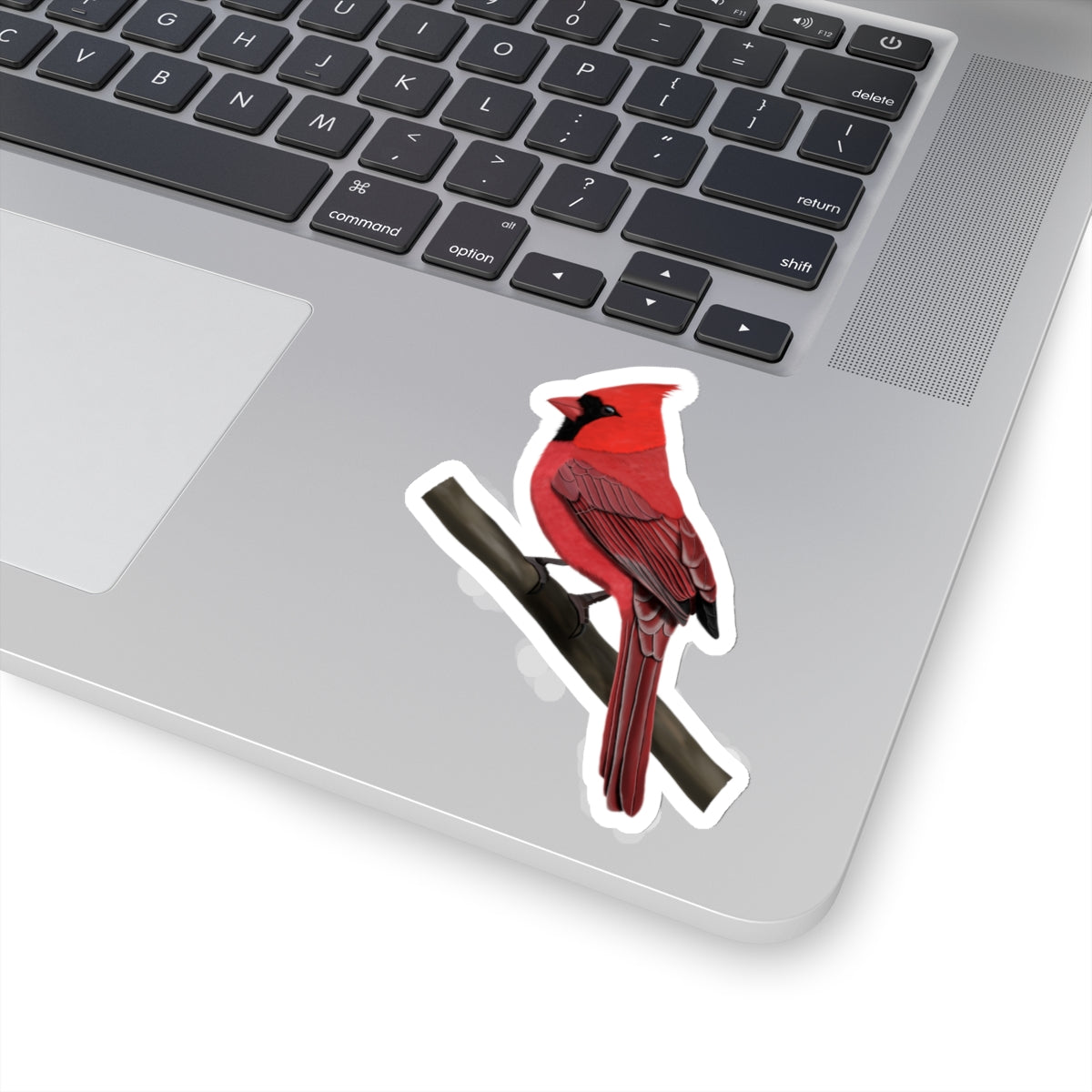 Northern Cardinal Bird Kiss-Cut Sticker - jz.birds