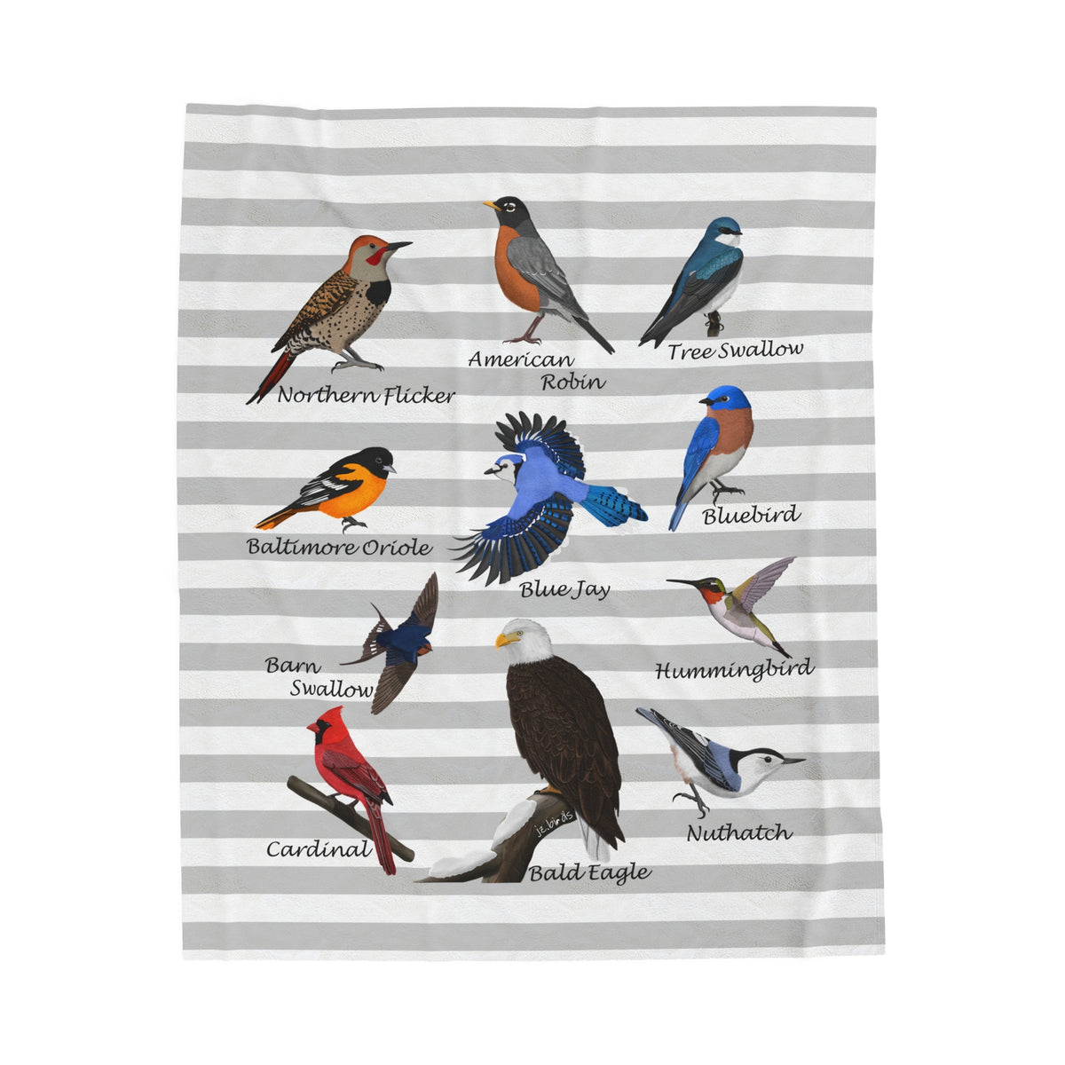 Hummingbird, Bluebird, Blue Jay, Cardinal and Robin Sofa Blankets – Backyard Birds Velveteen Plush Blanket Grey White