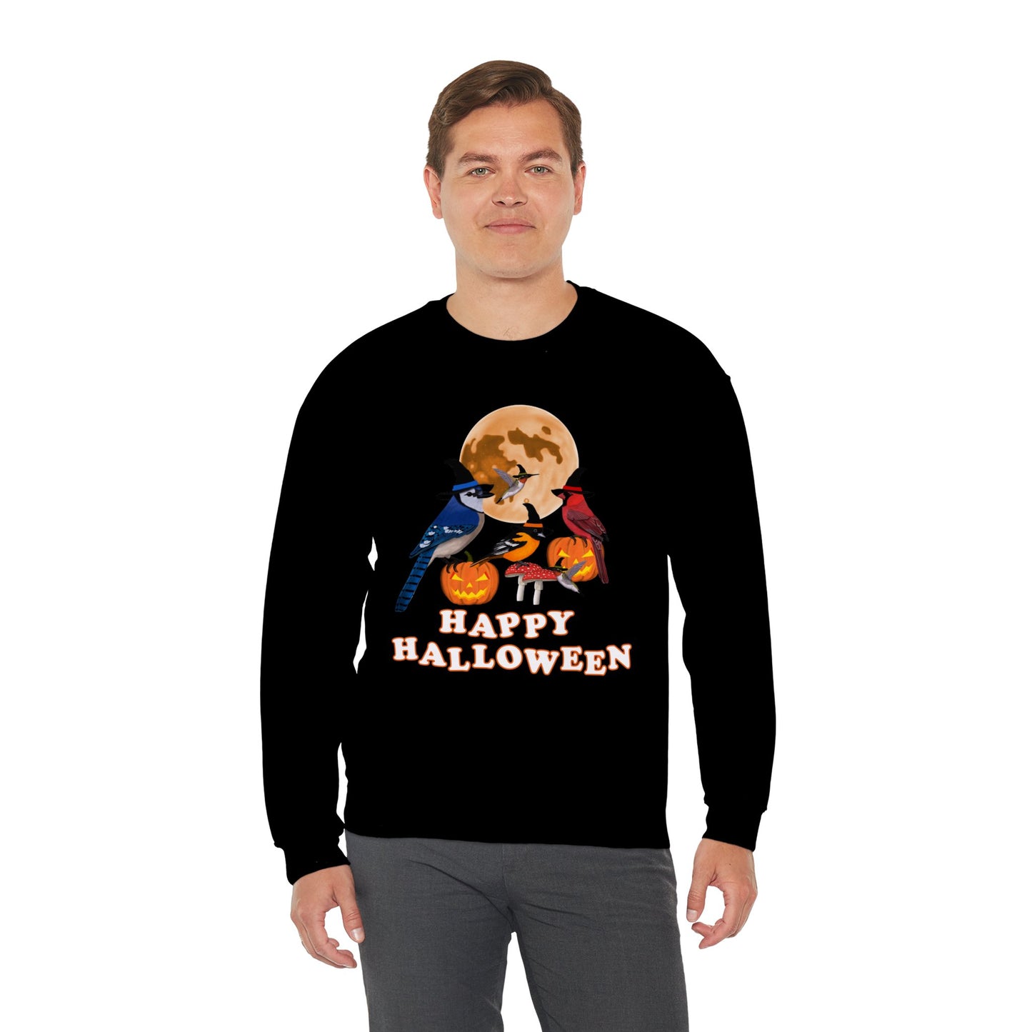 Blue Jay Cardinal Oriole Hummingbird Halloween Birds Witch Birdwatcher Sweatshirt