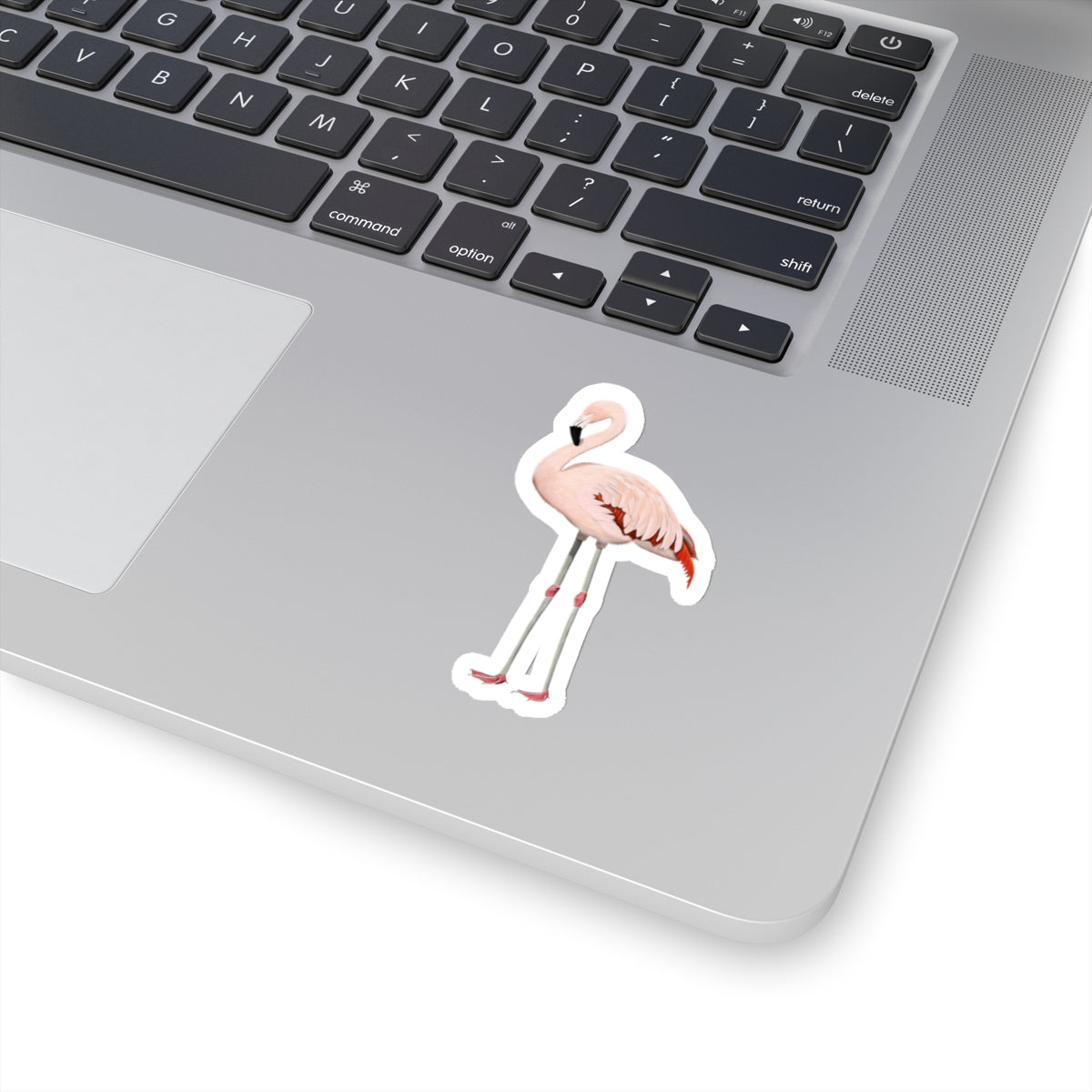 Flamingo Bird Kiss-Cut Sticker - jz.birds