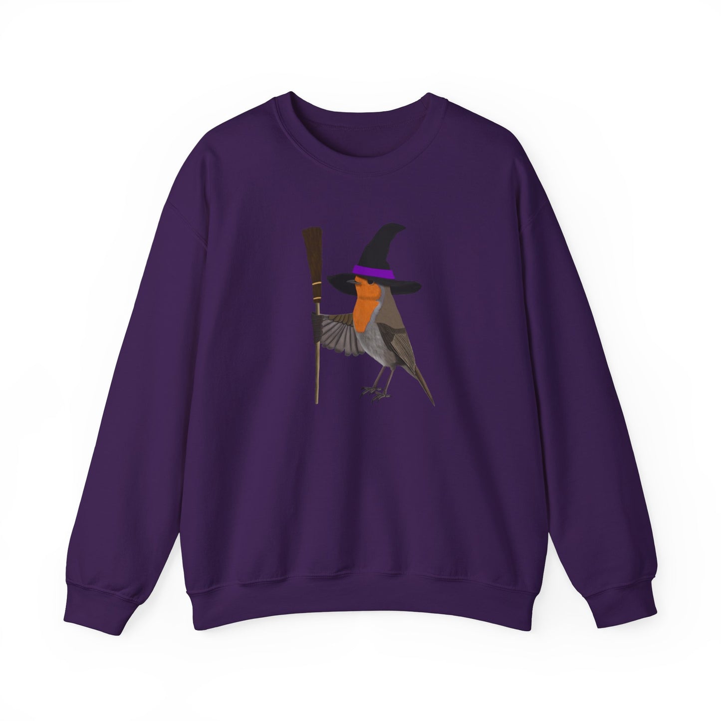 Robin Halloween Witch Birdwatcher Biologist Bird Sweatshirt